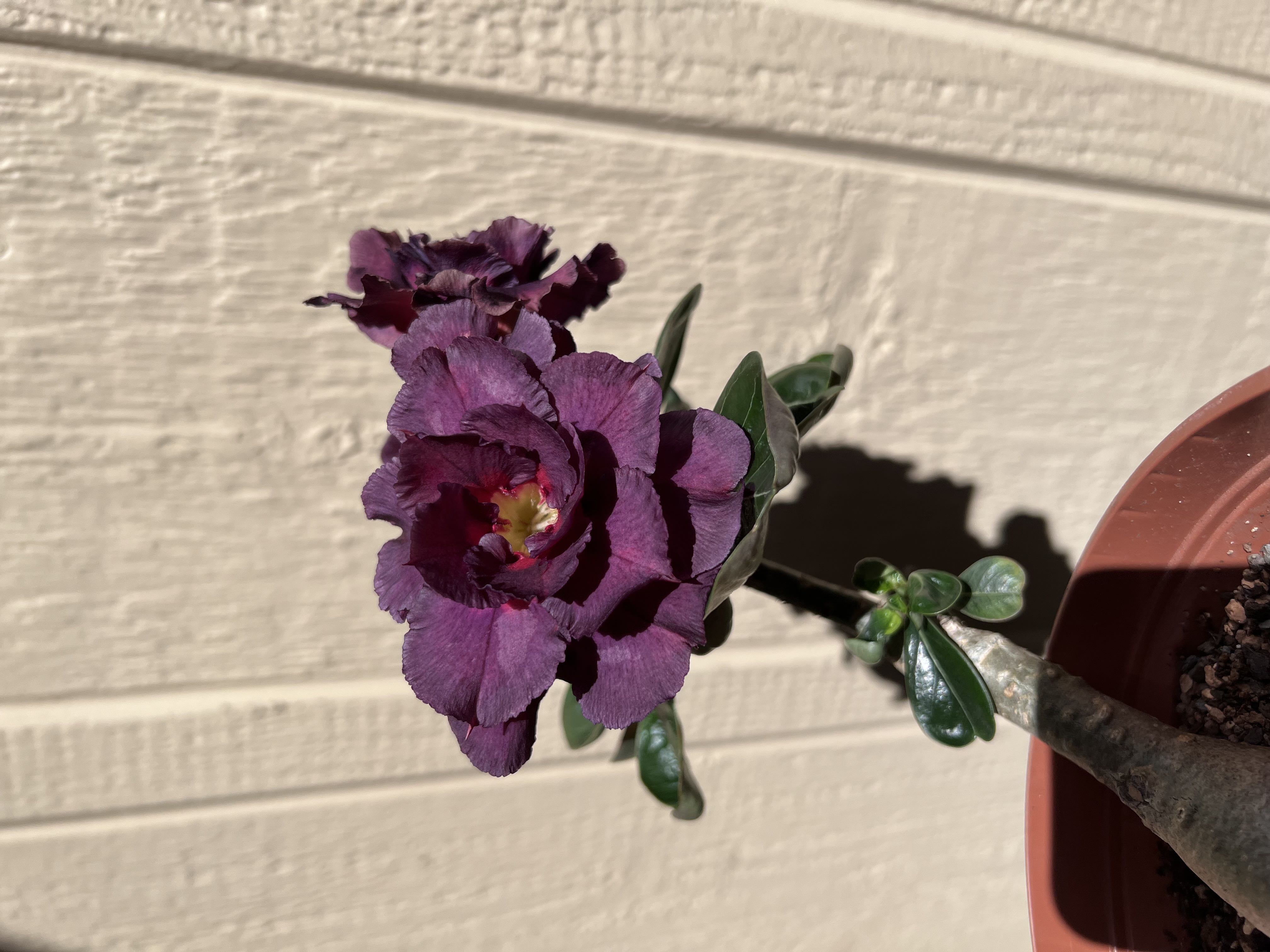 Photo from the post