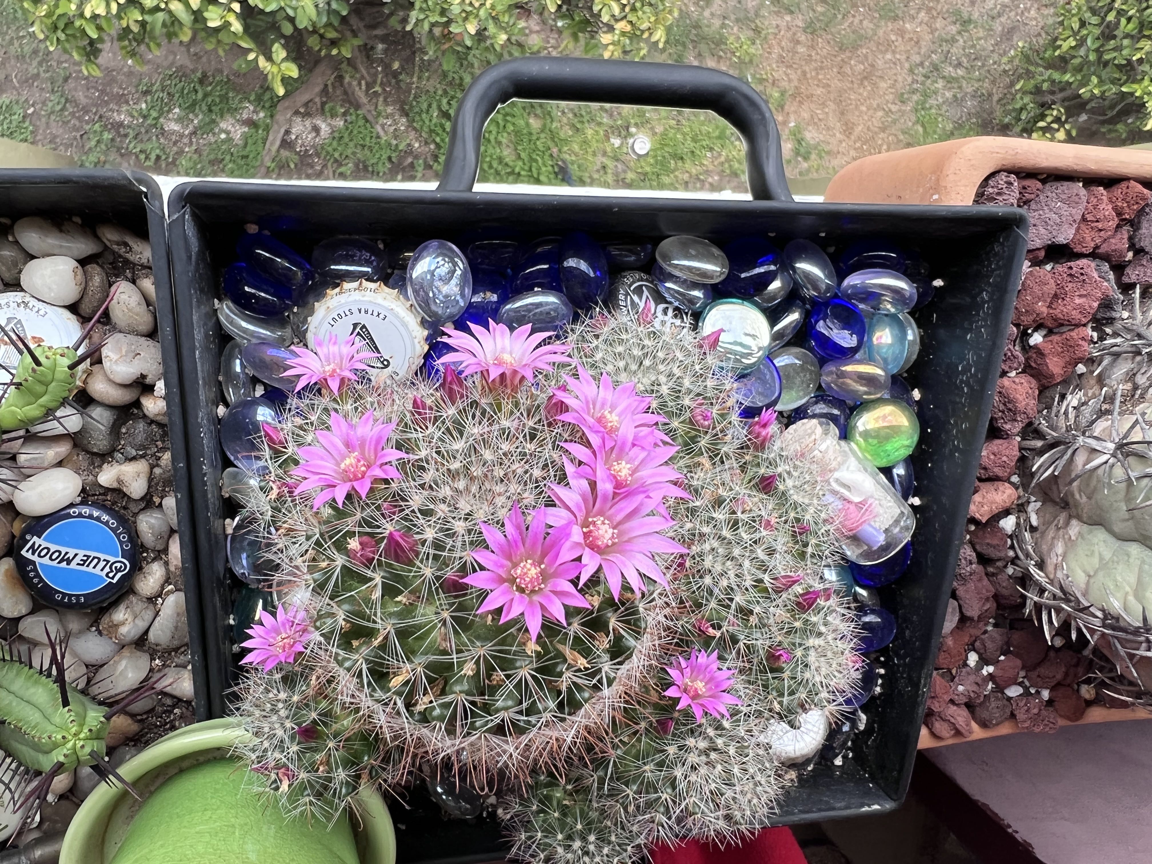Photo from the post