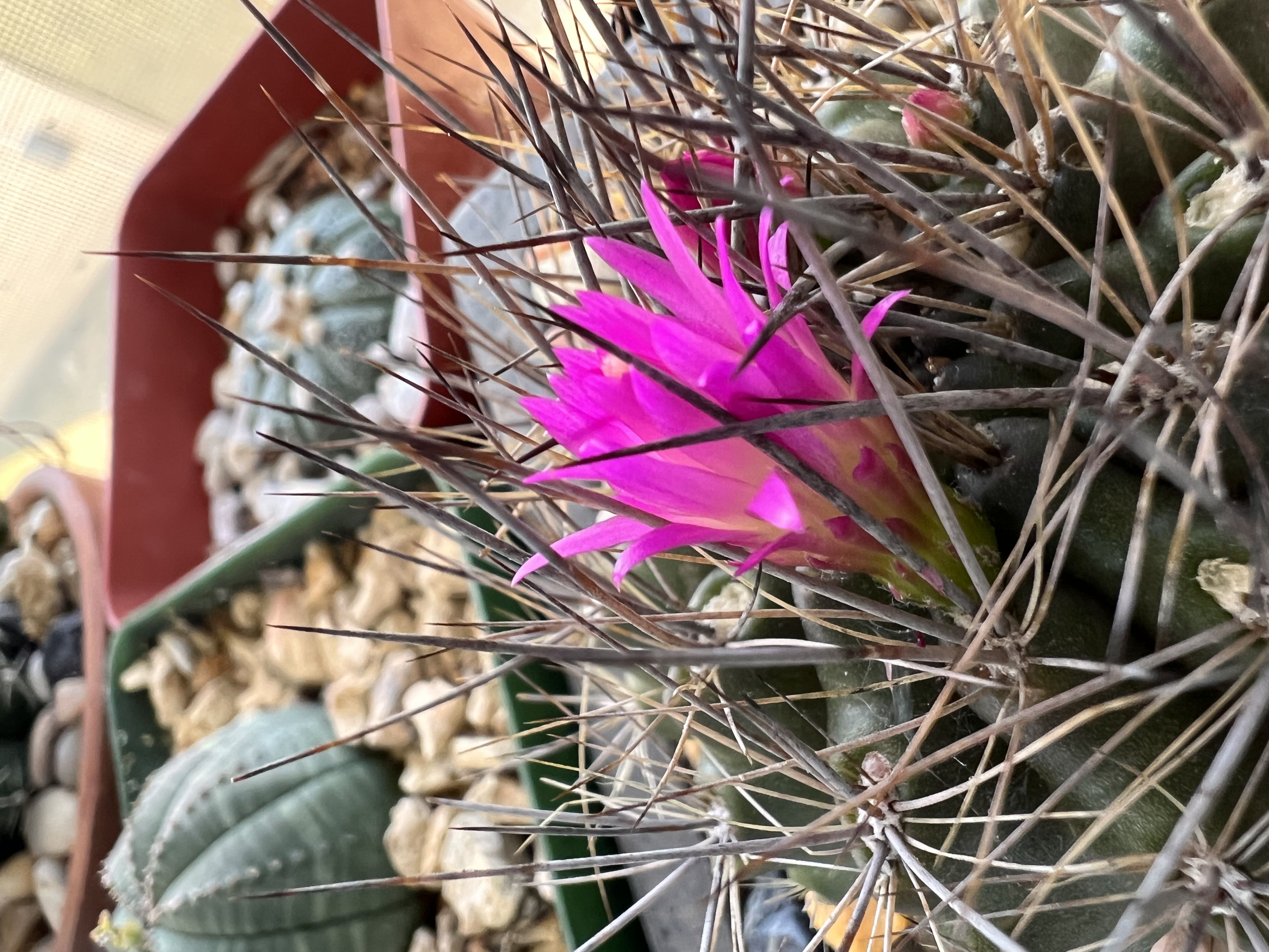 Photo from the post