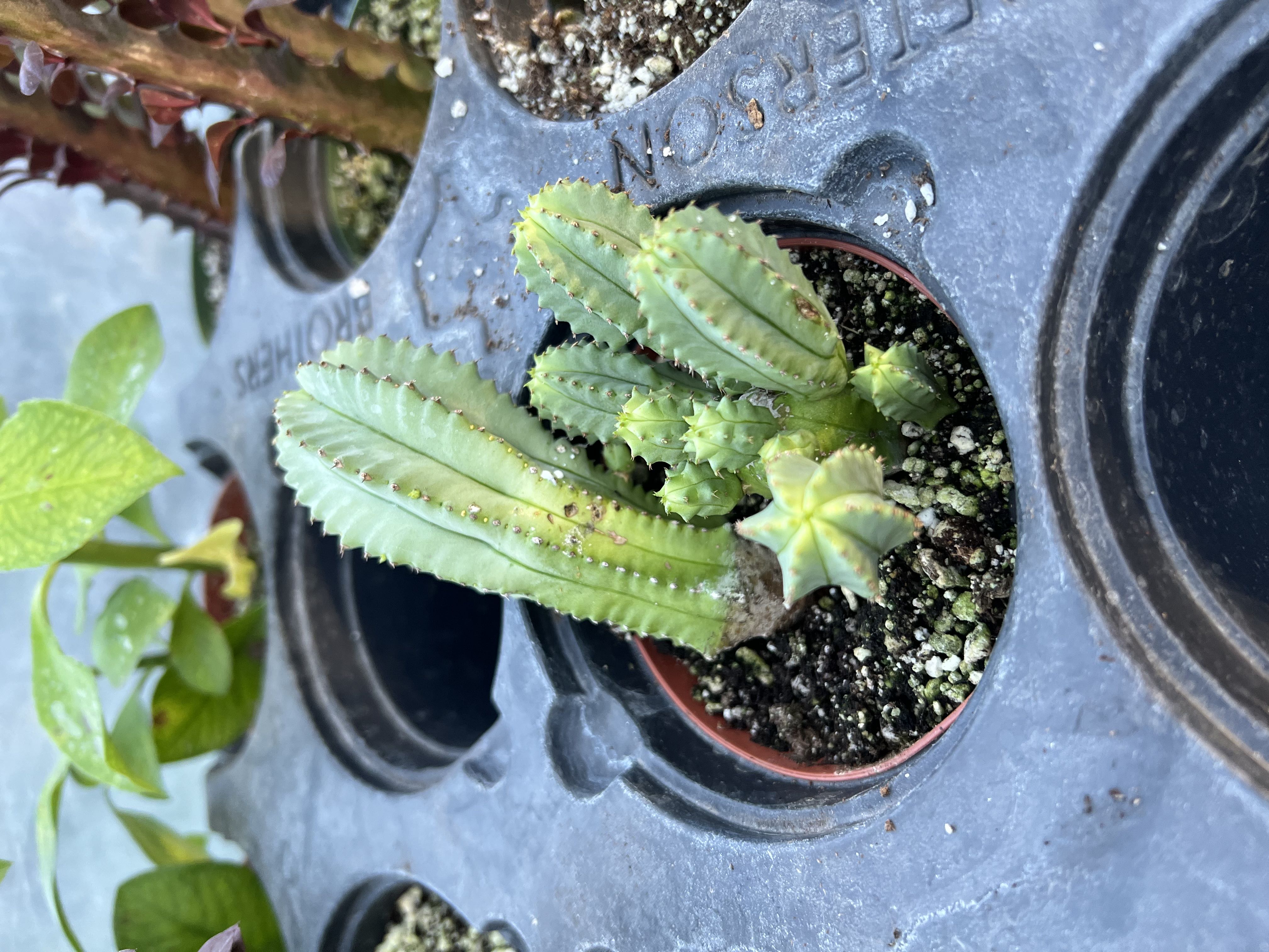 Photo from the post