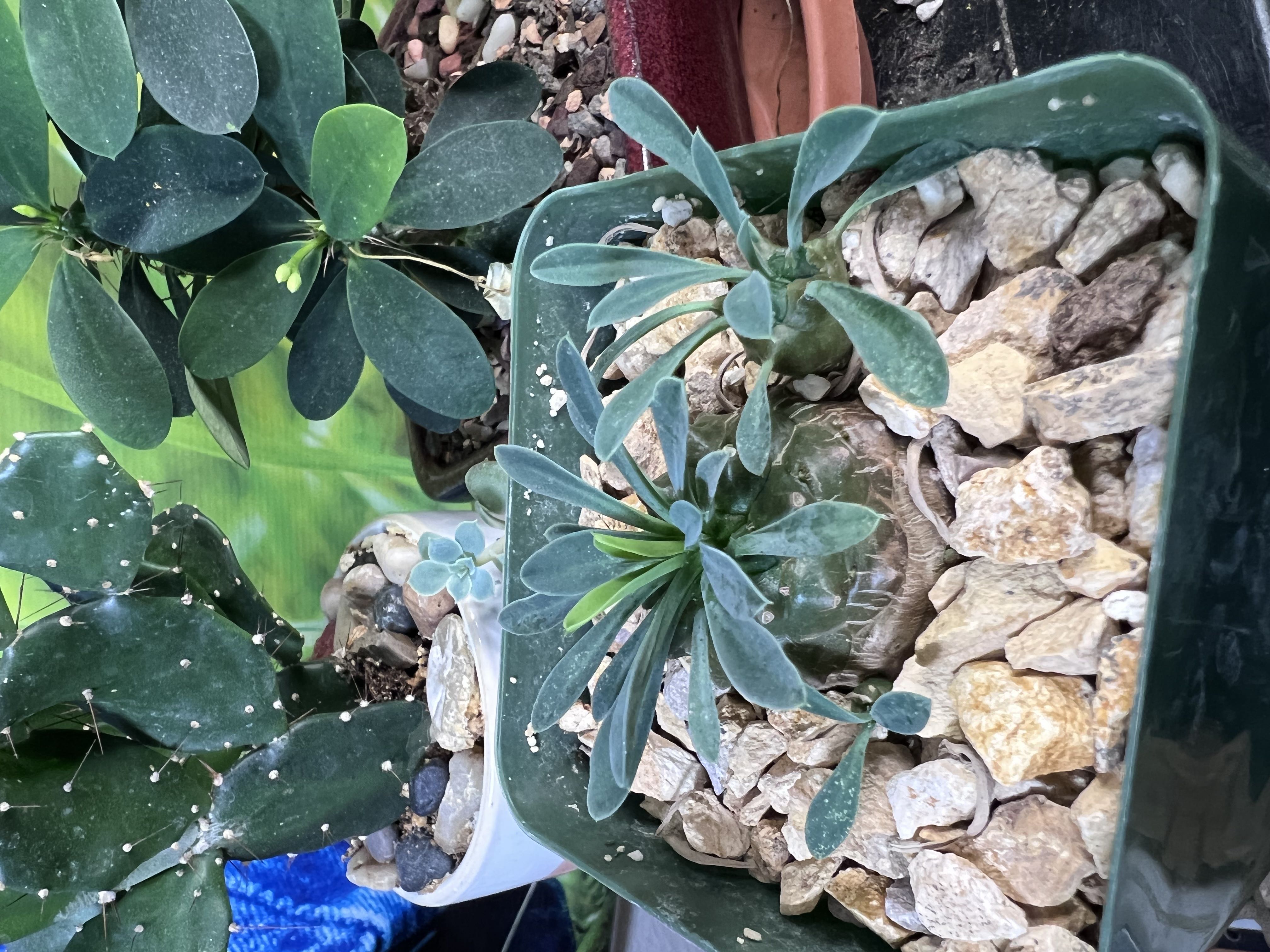 Photo from the post
