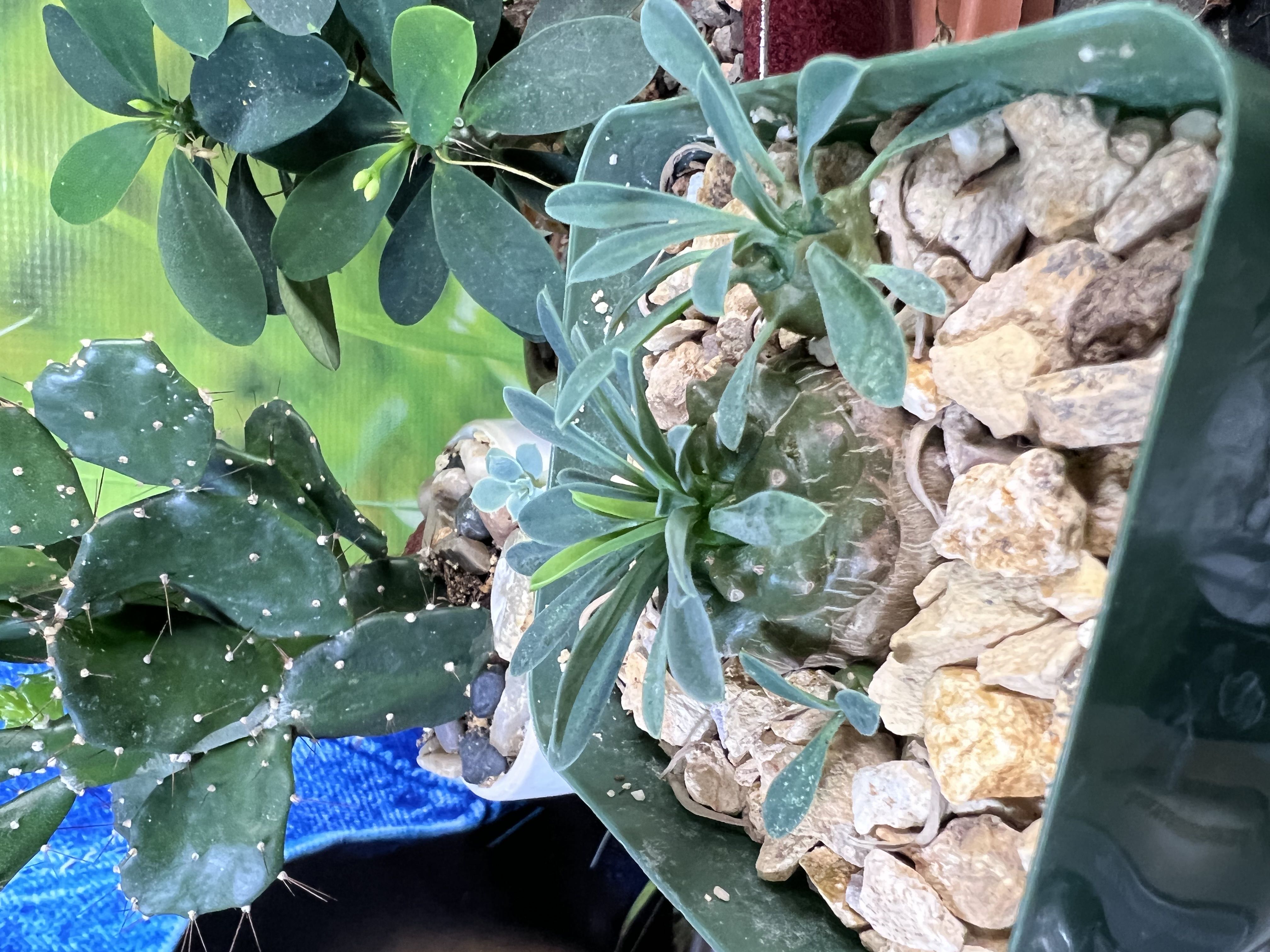Photo from the post