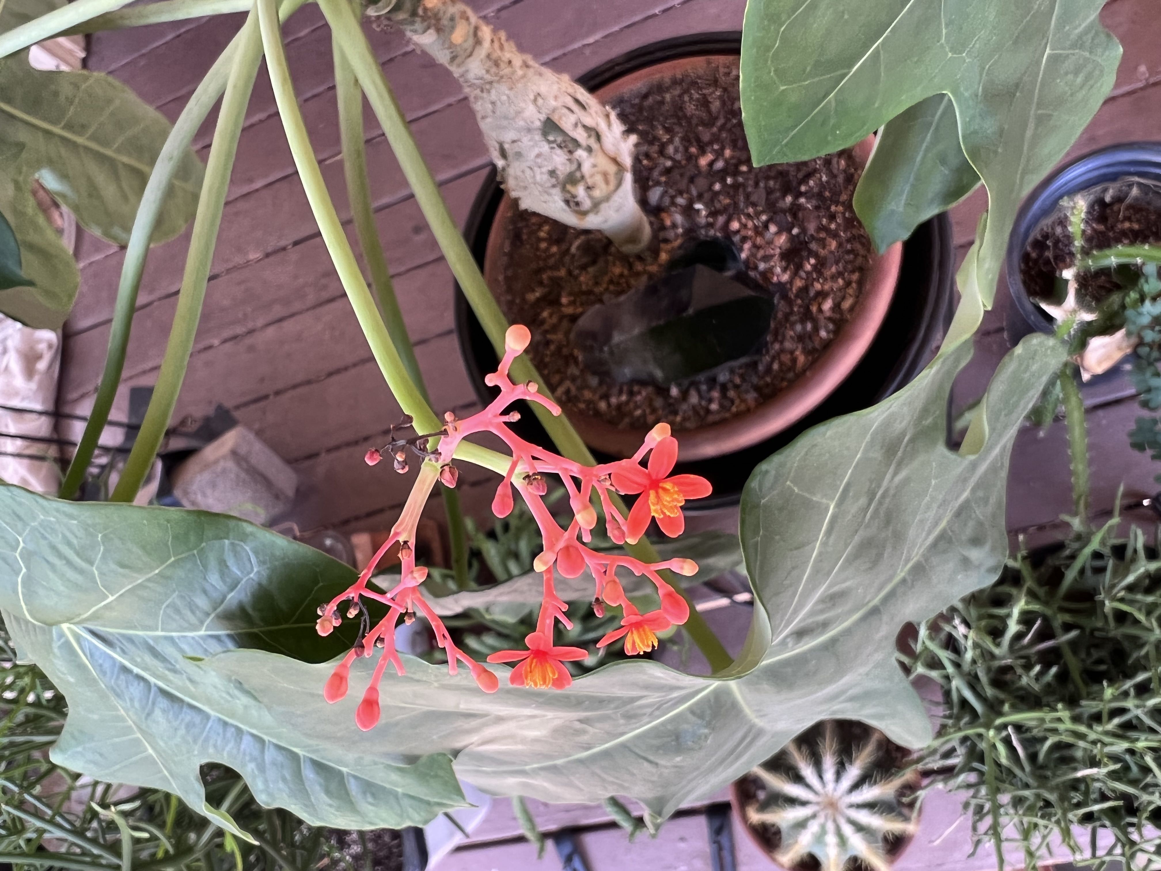 Photo from the post