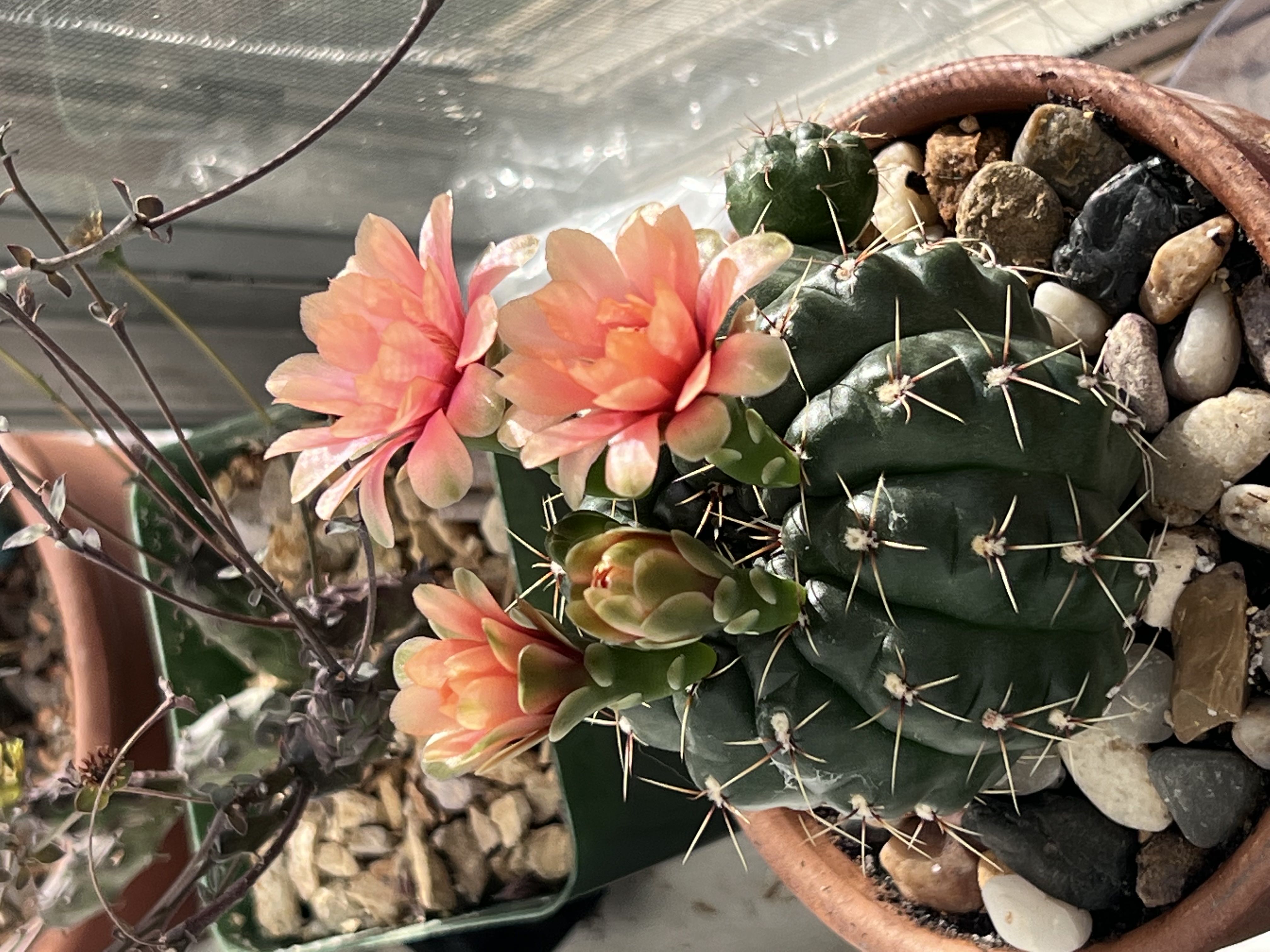 Photo from the post
