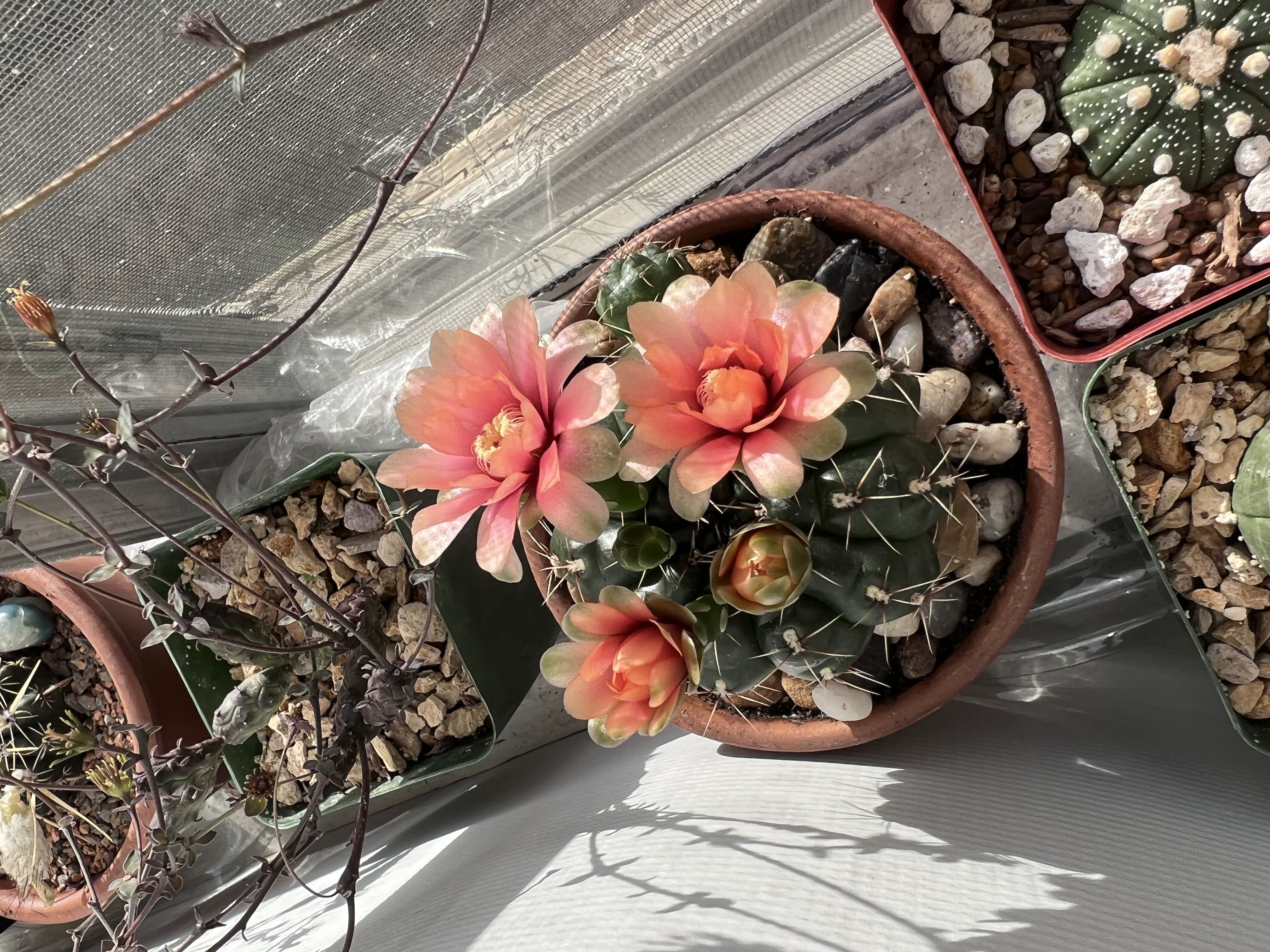 Photo from the post