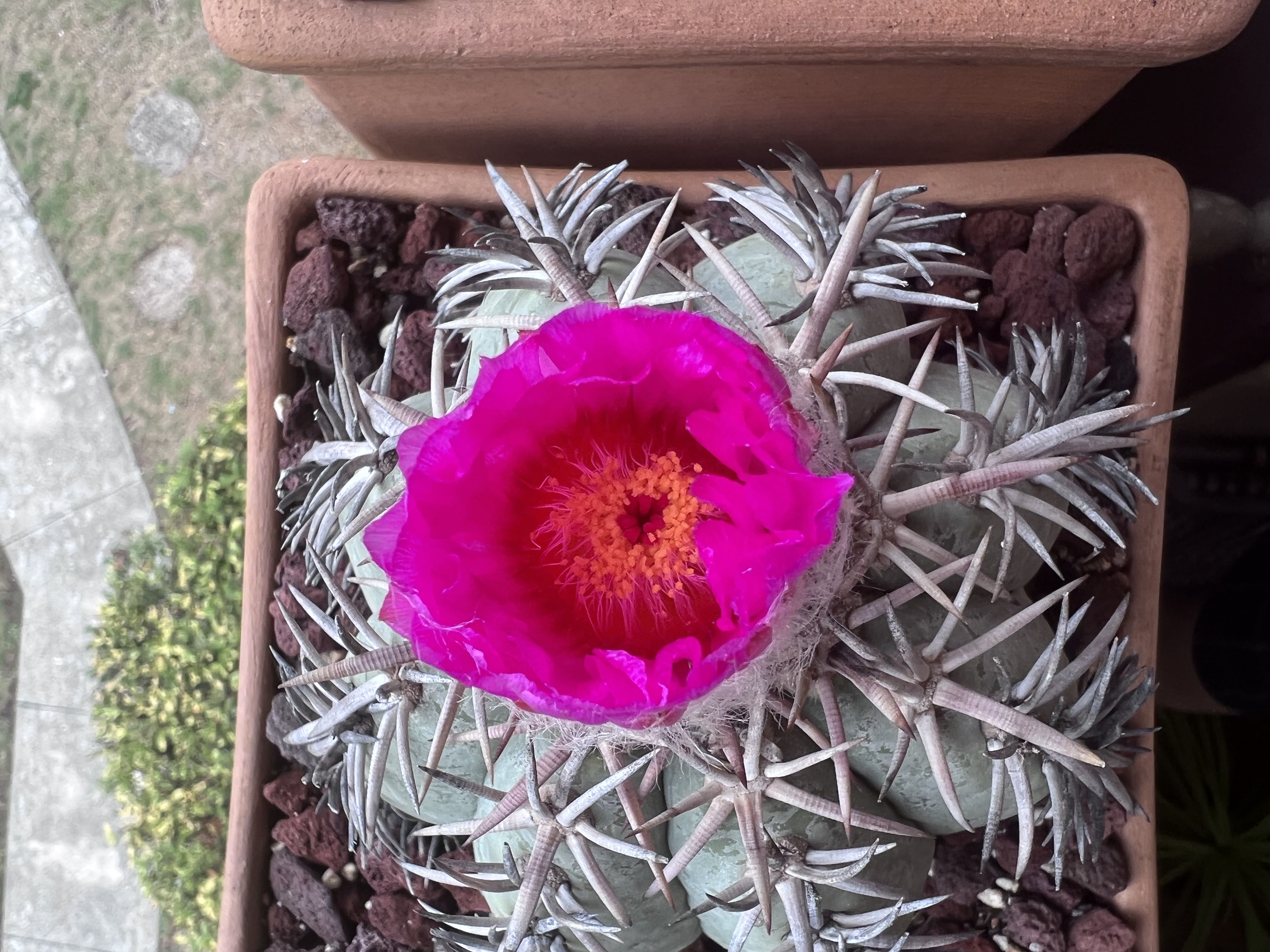 Photo from the post