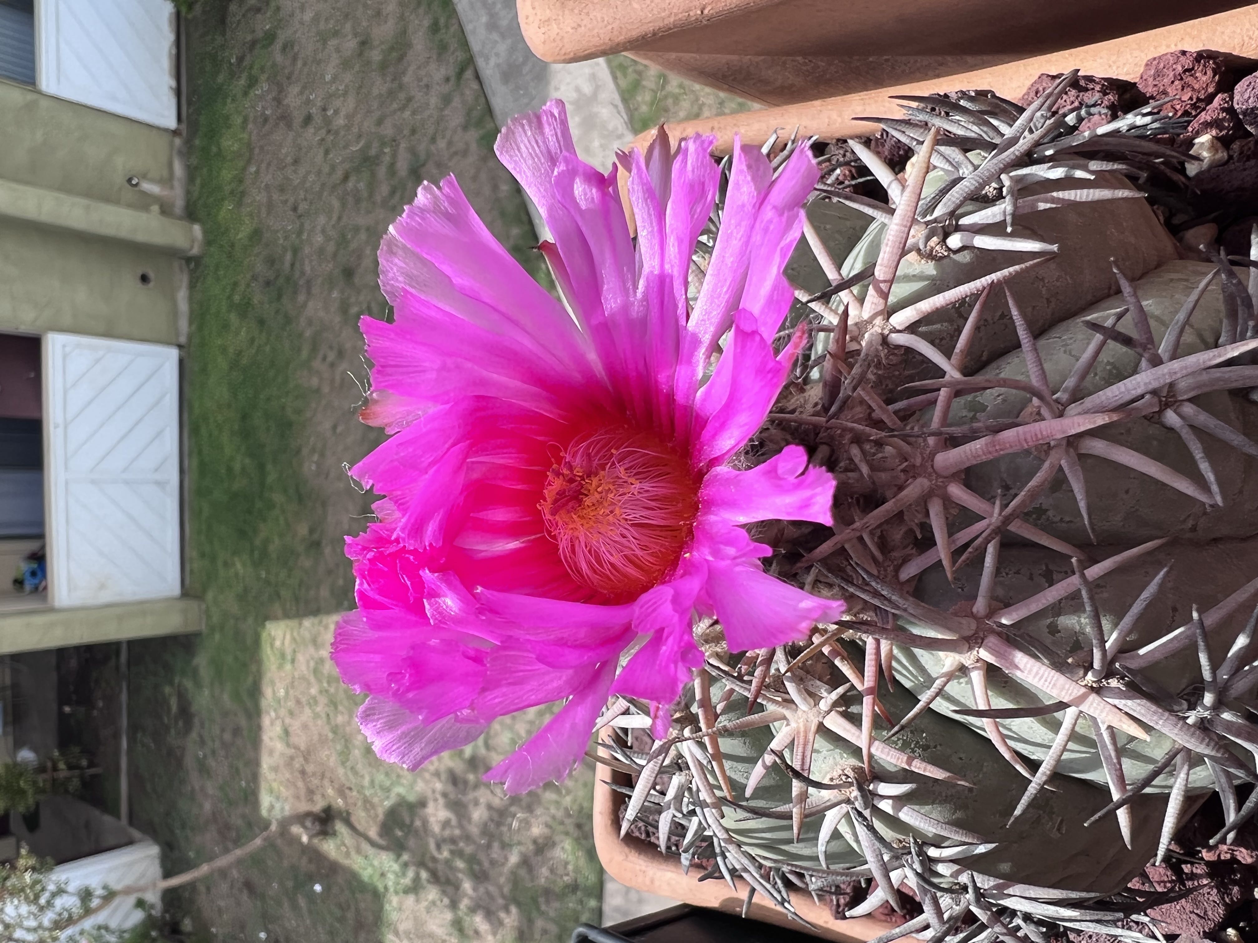 Photo from the post