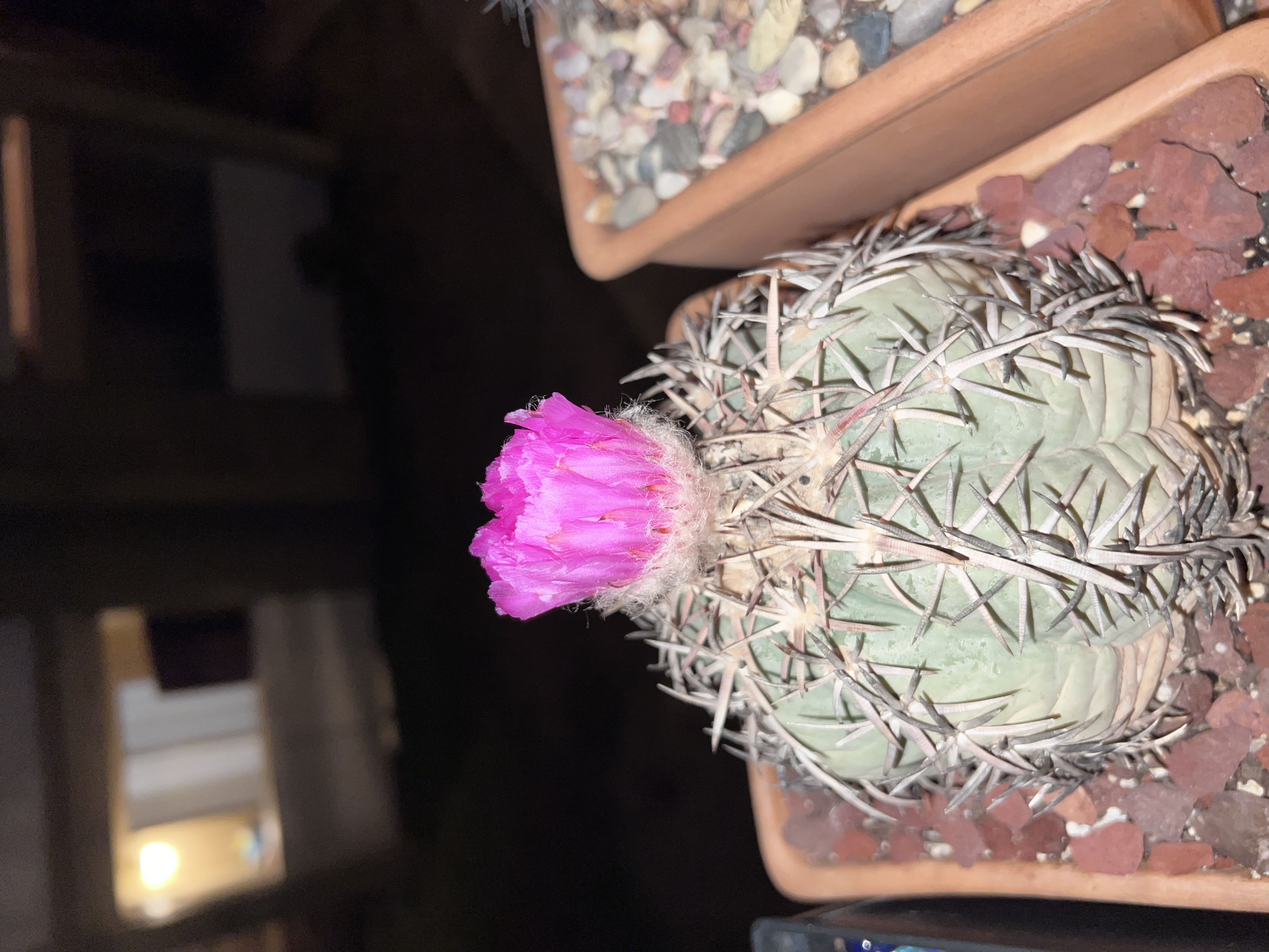 Photo from the post