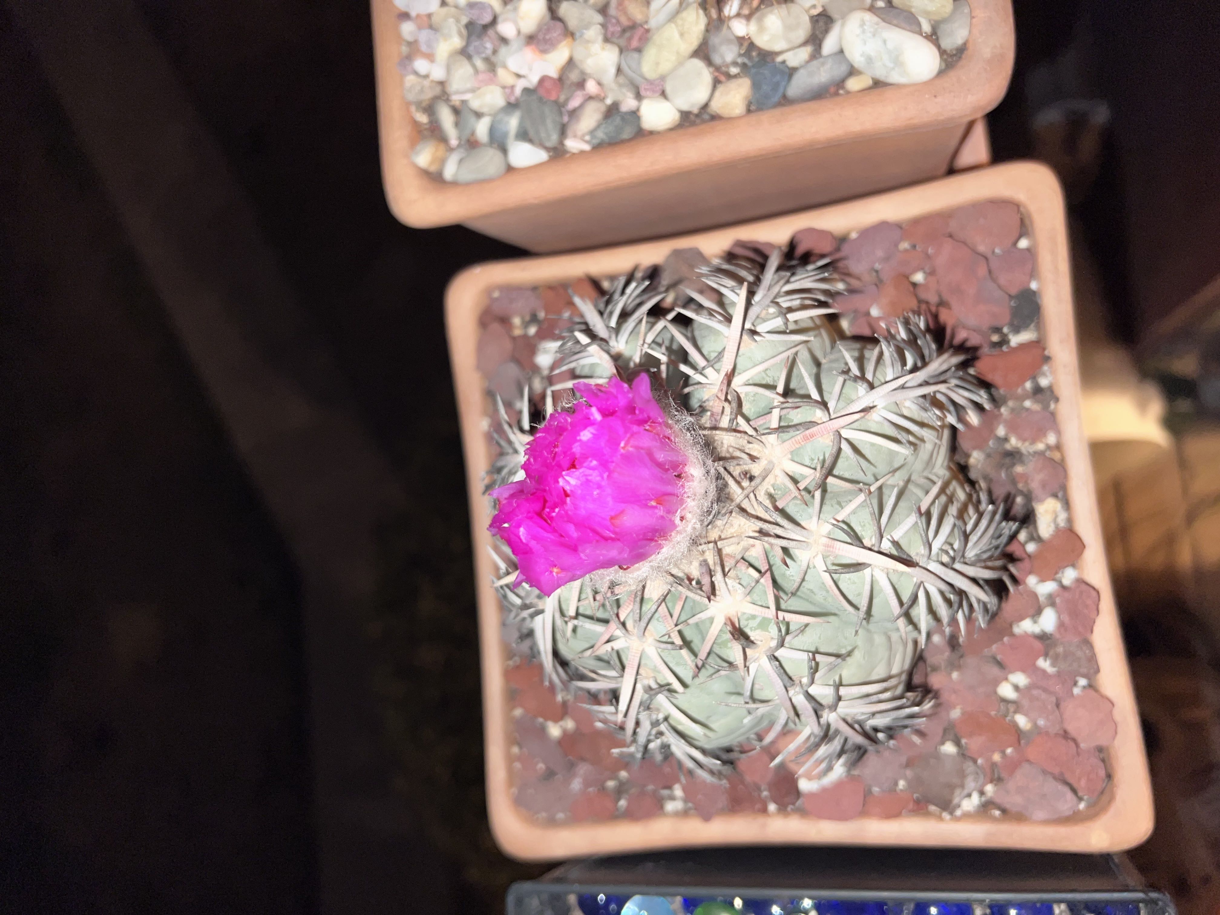 Photo from the post