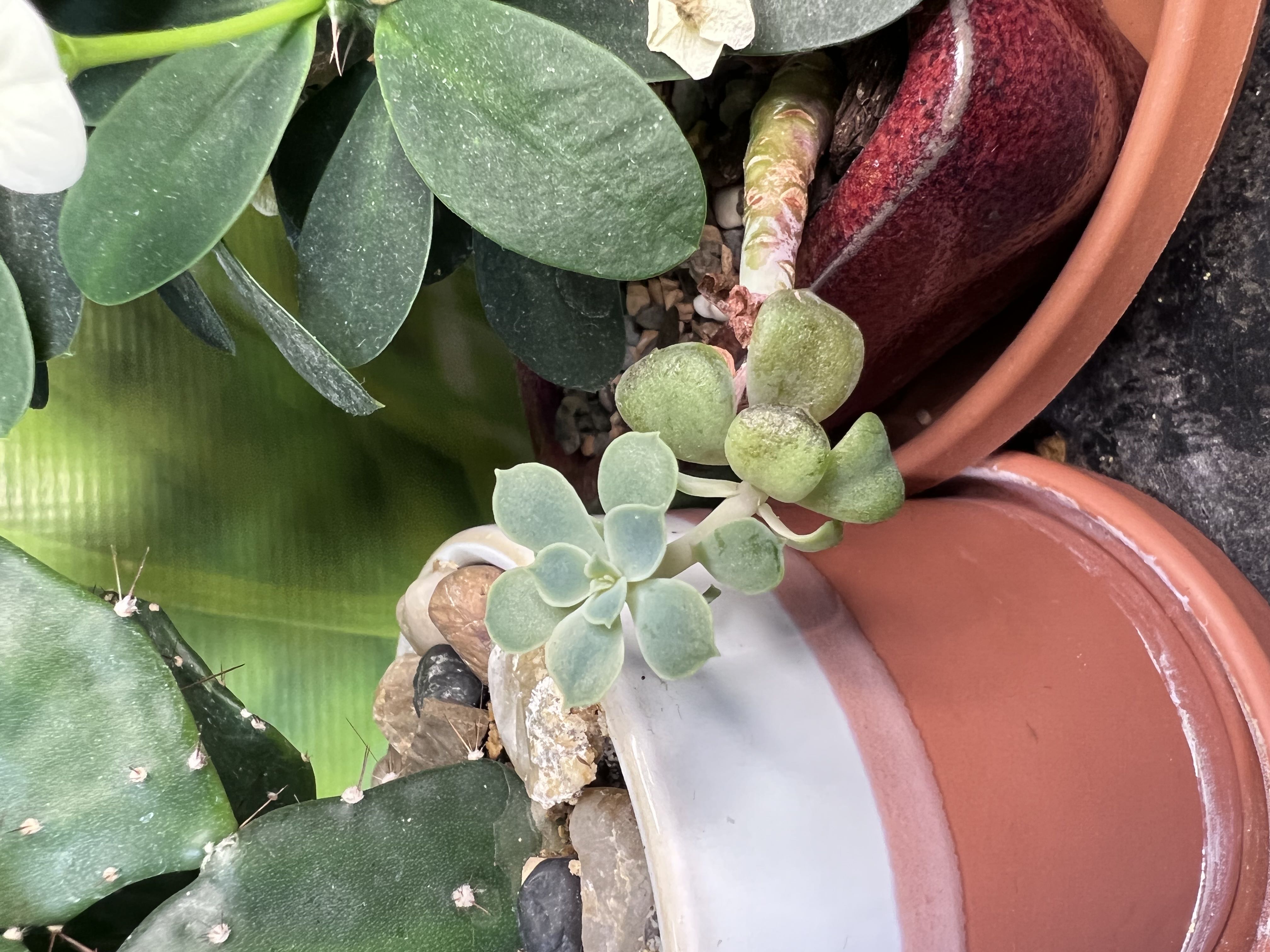 Photo from the post