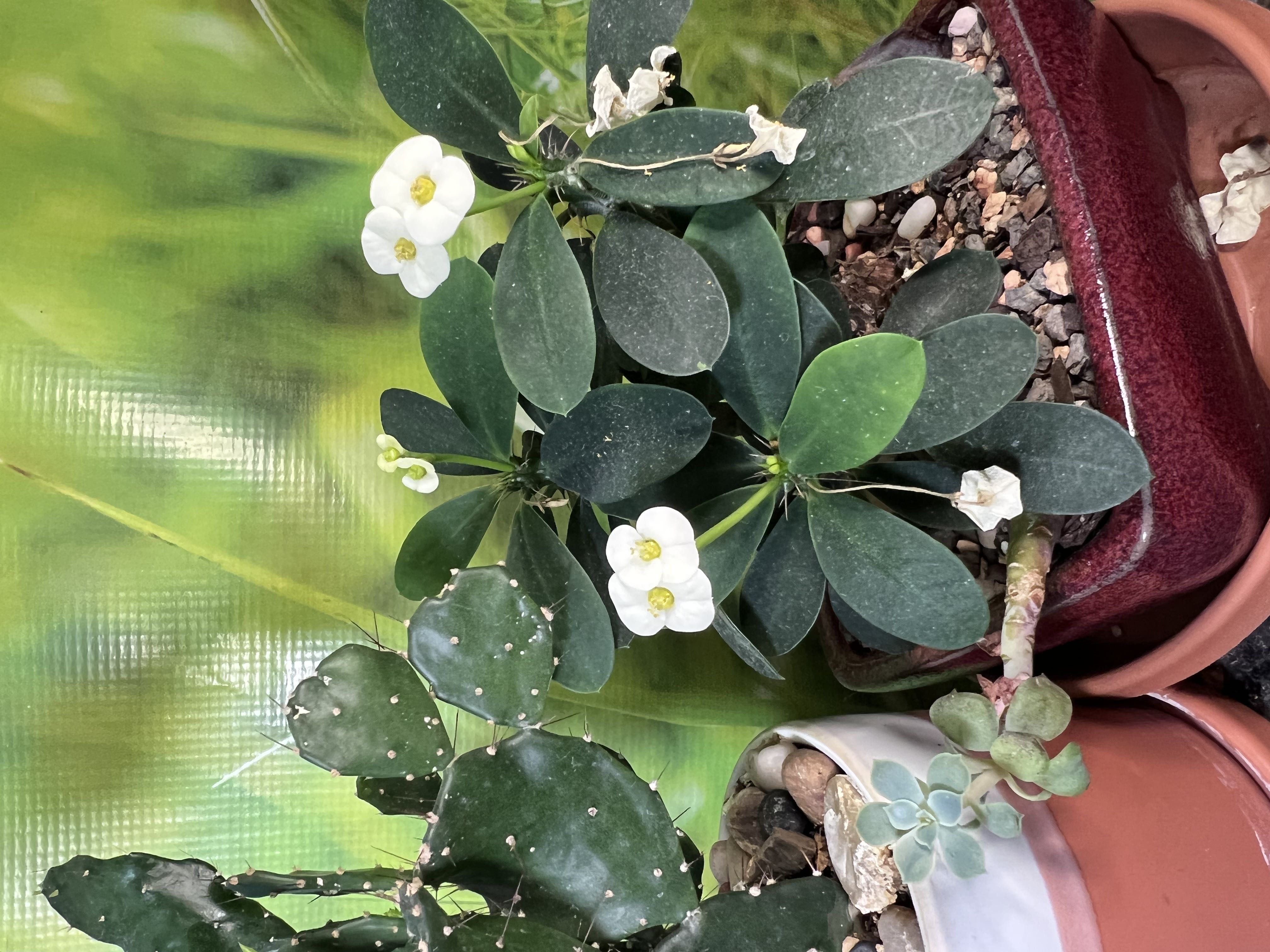 Photo from the post