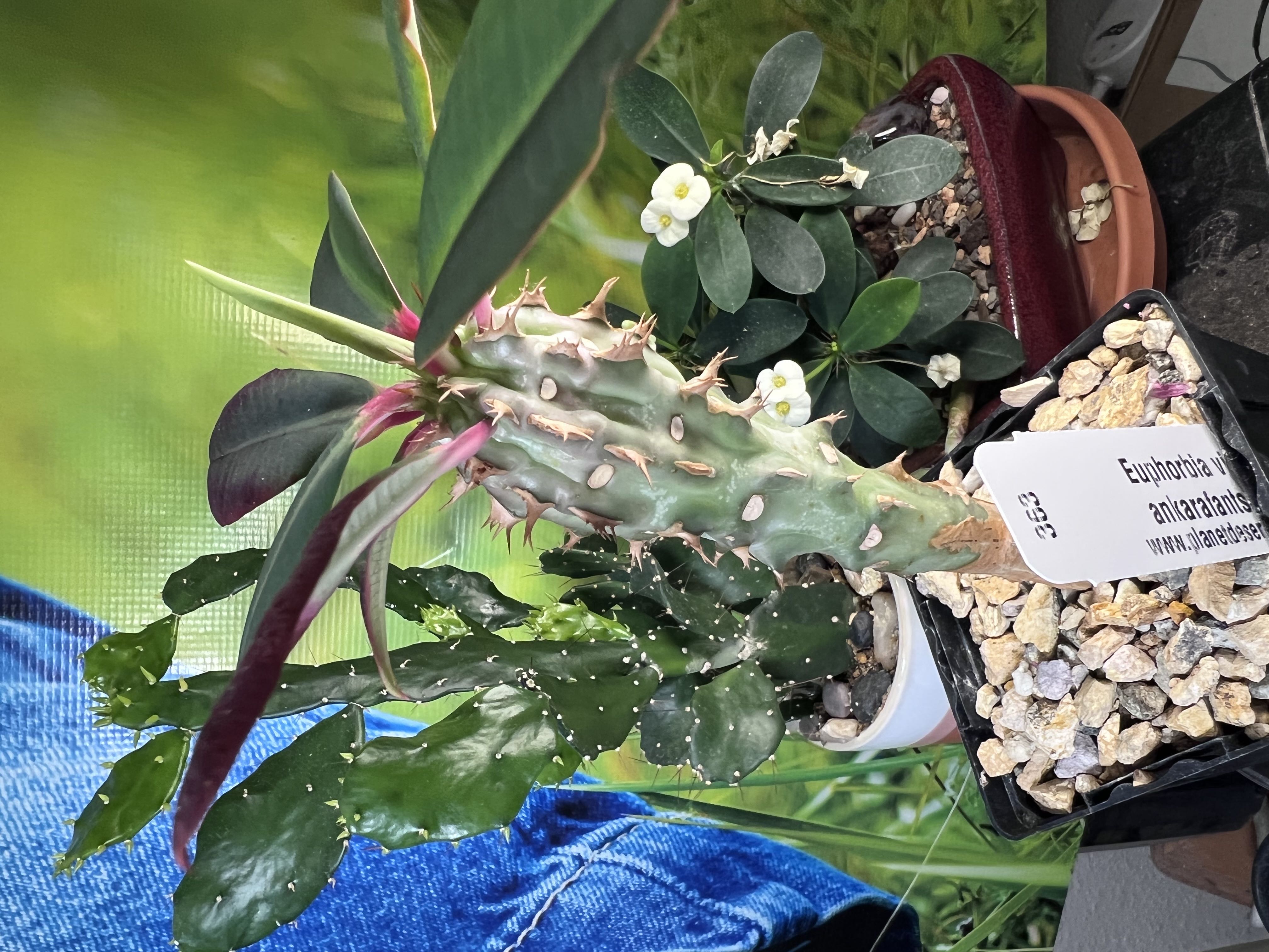 Photo from the post