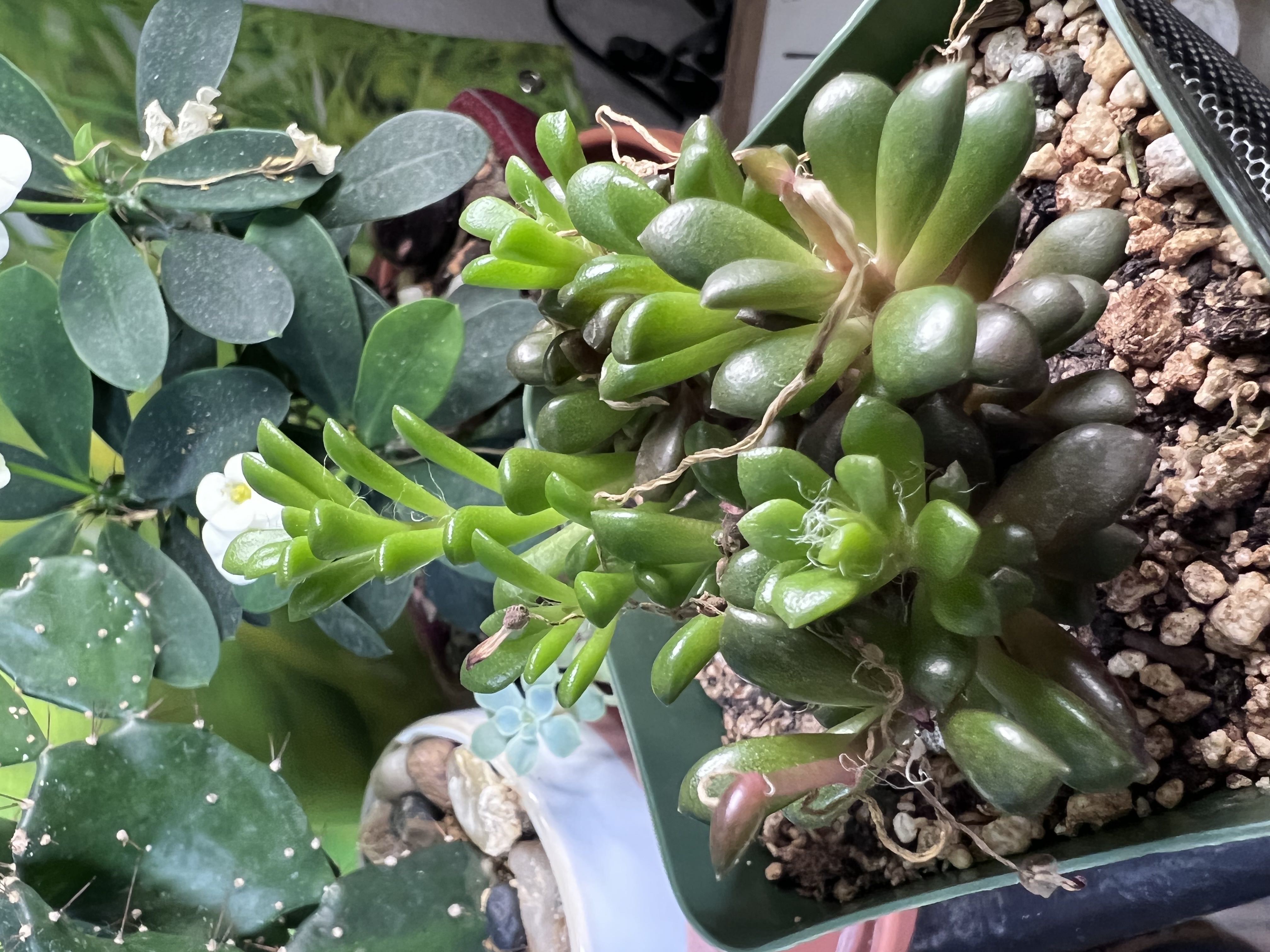 Photo from the post