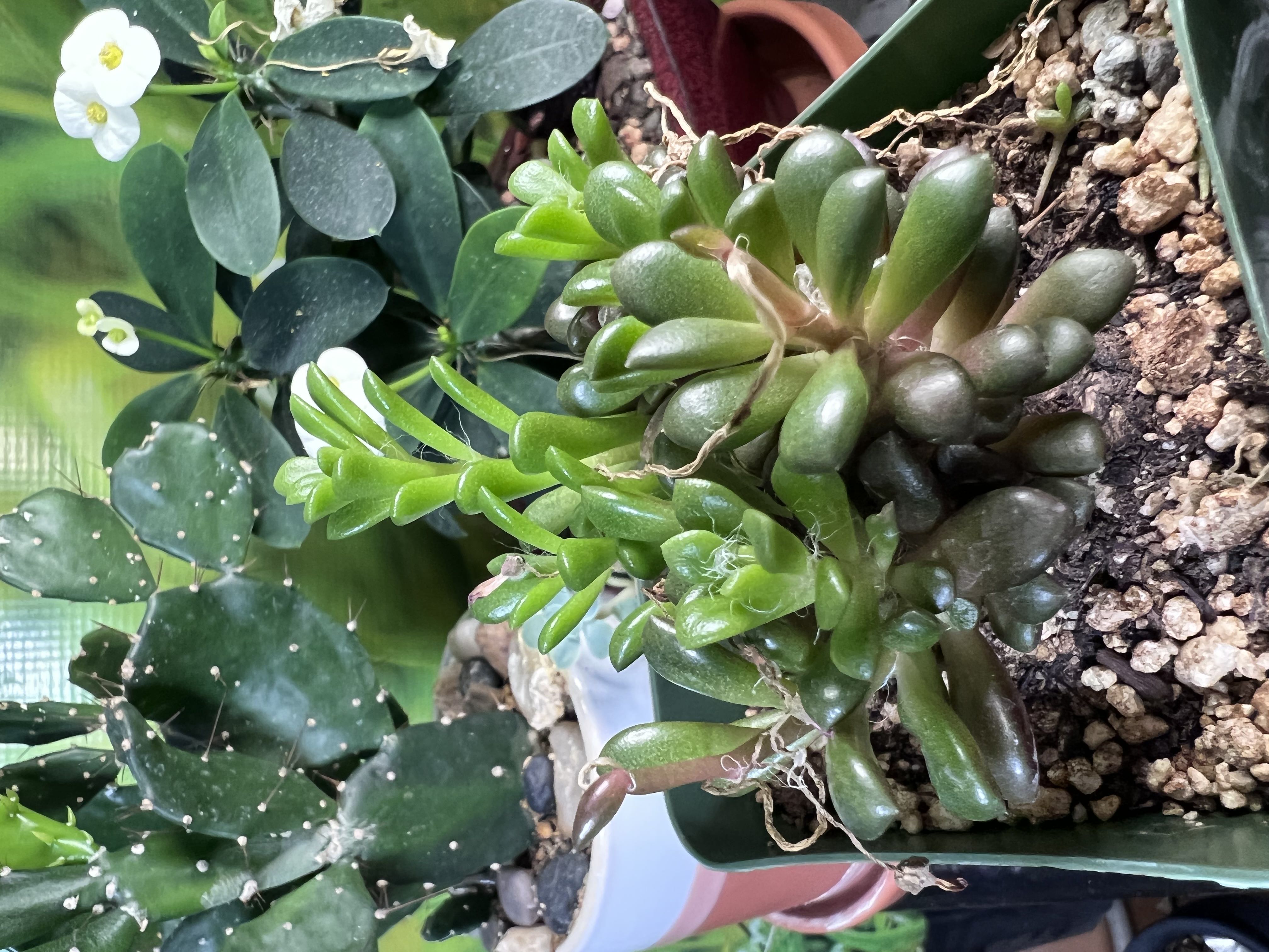 Photo from the post