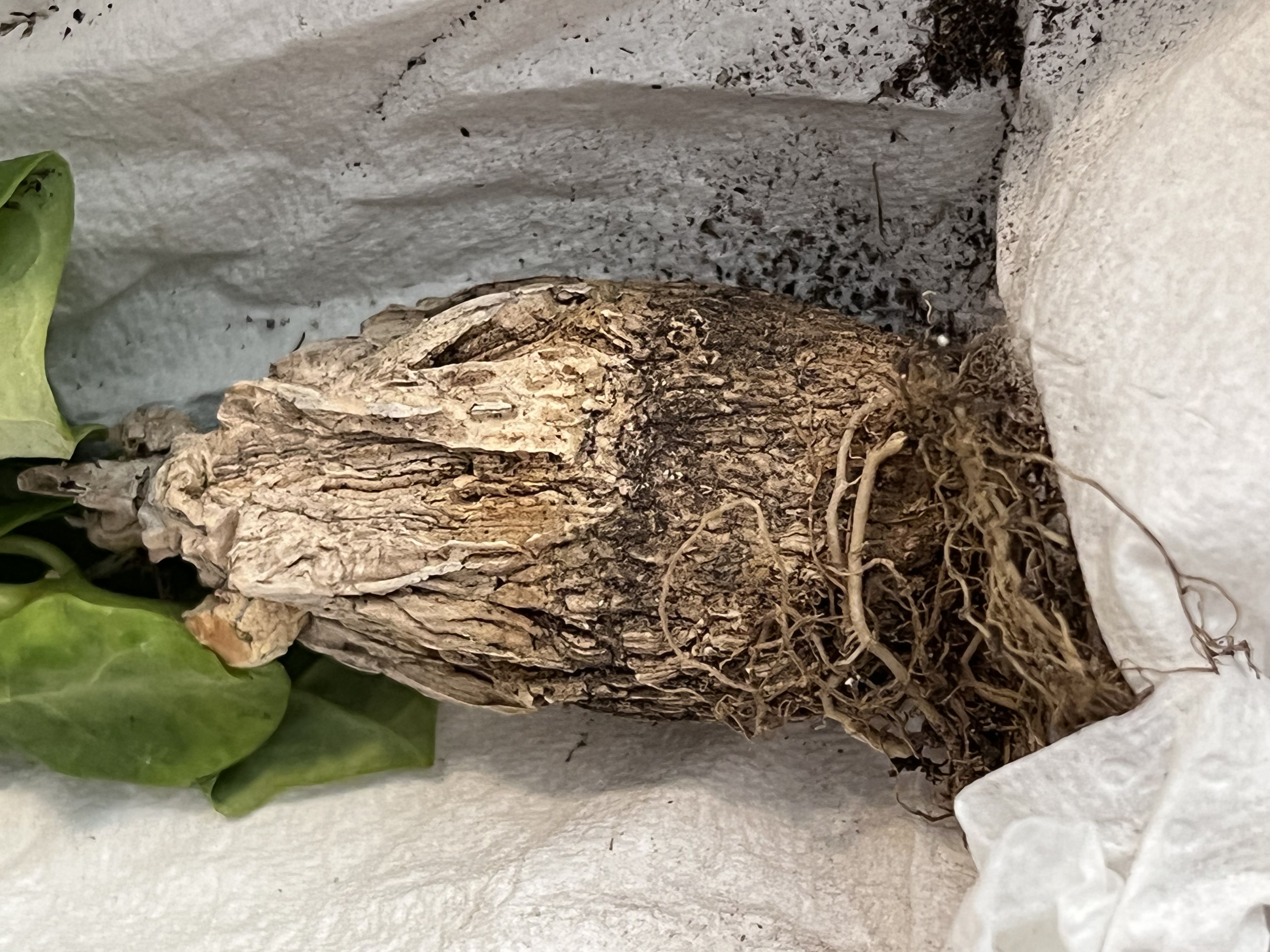 Photo from the post
