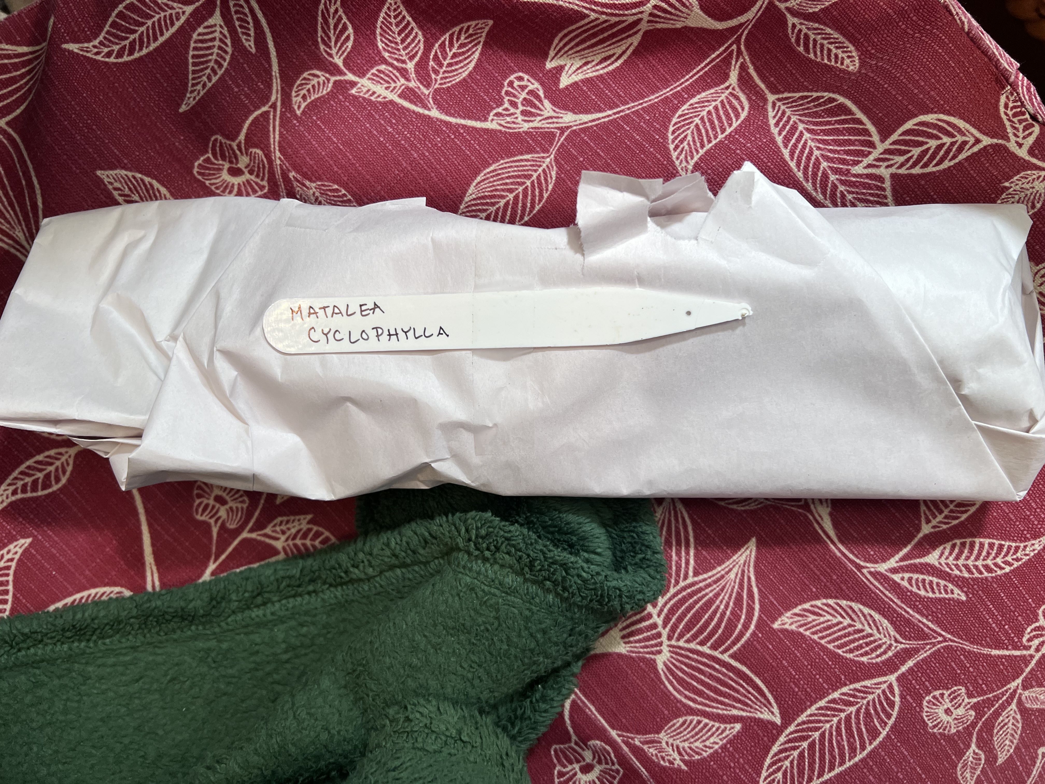 Photo from the post