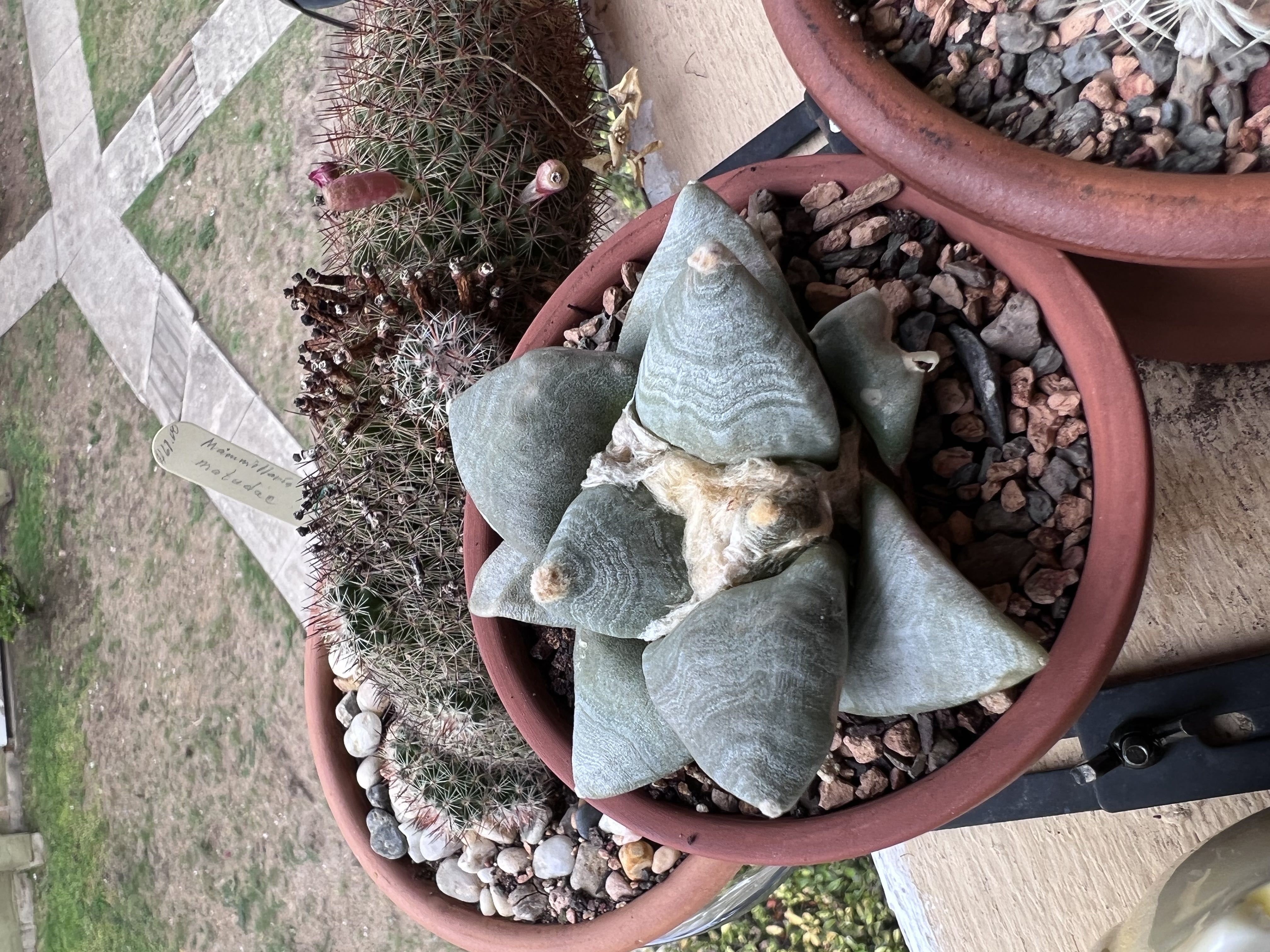 Photo from the post