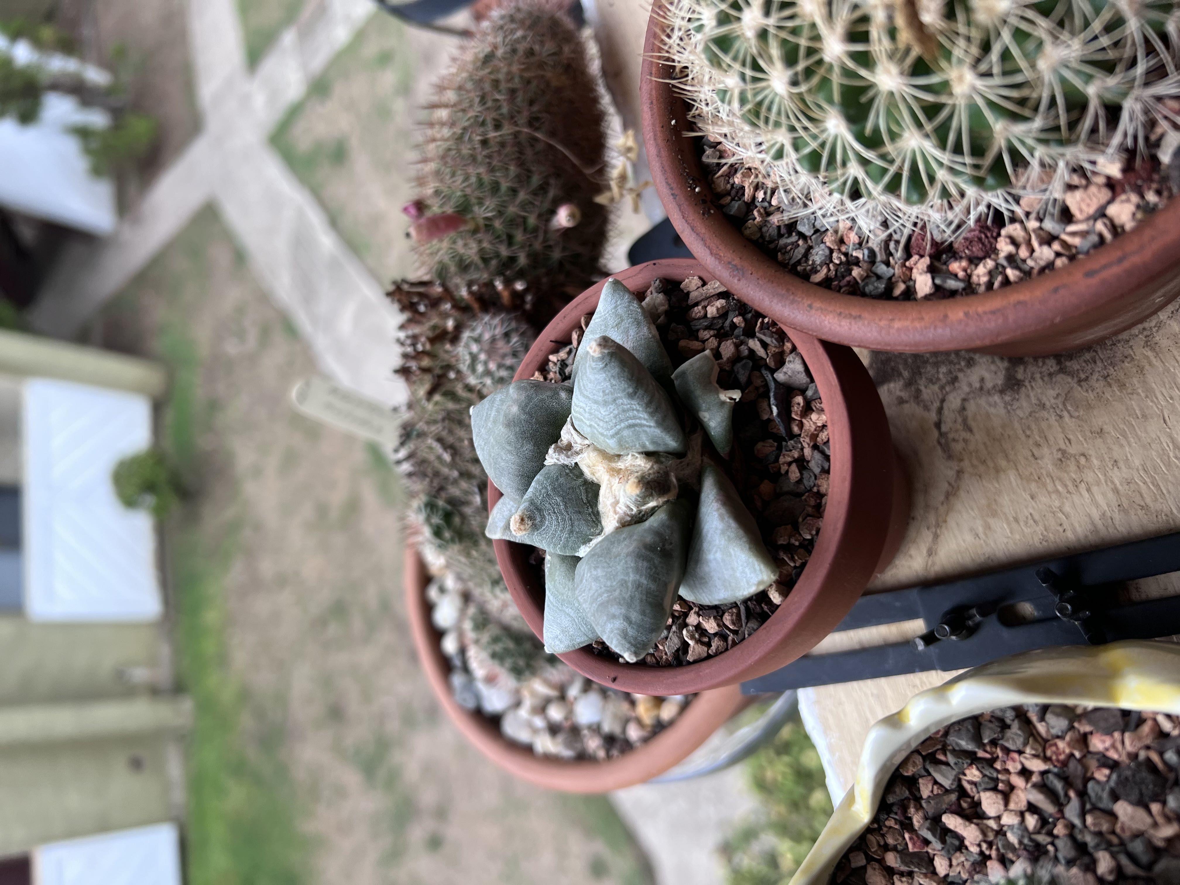Photo from the post