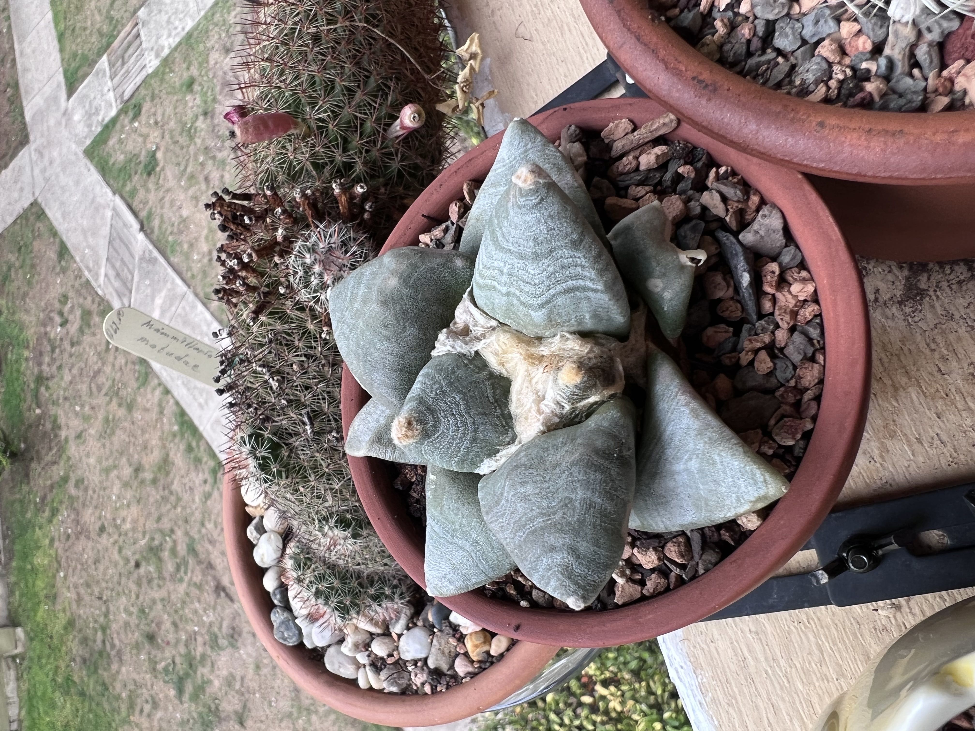 Photo from the post