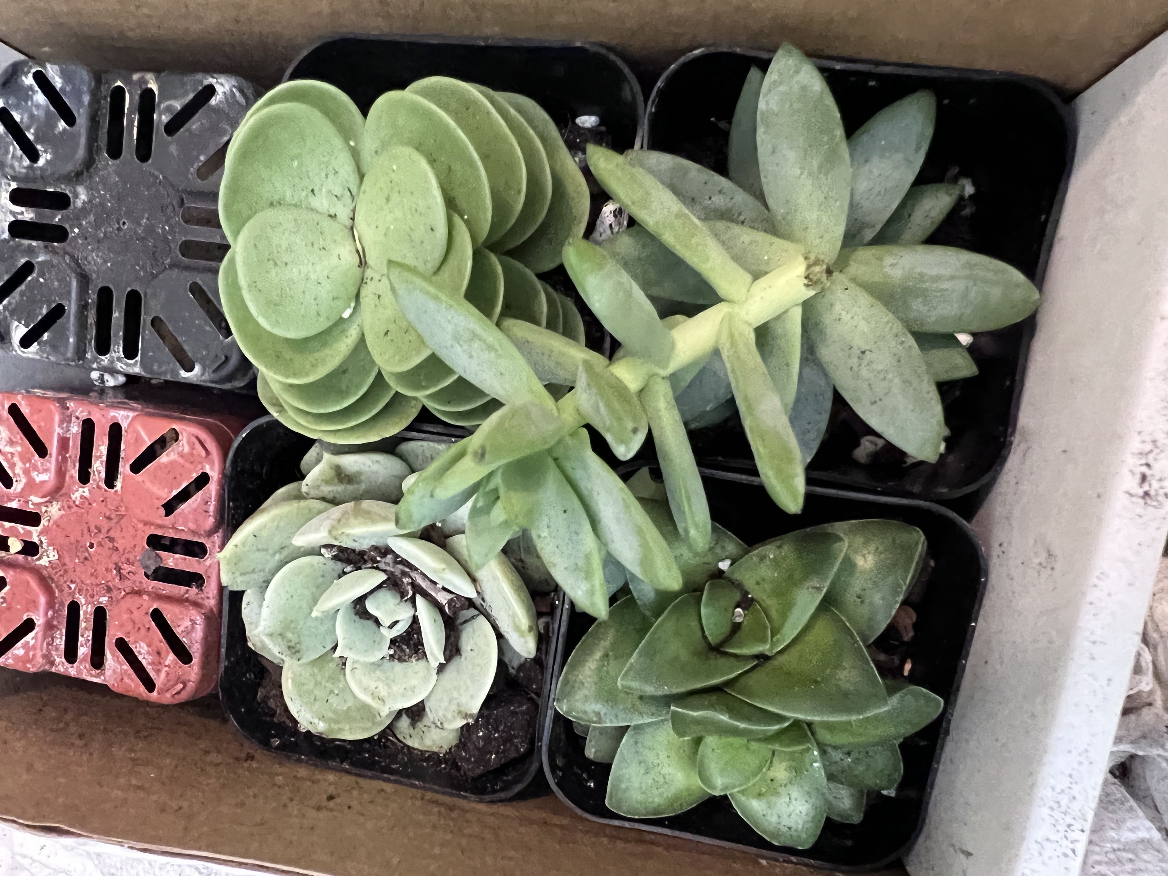 Photo from the post