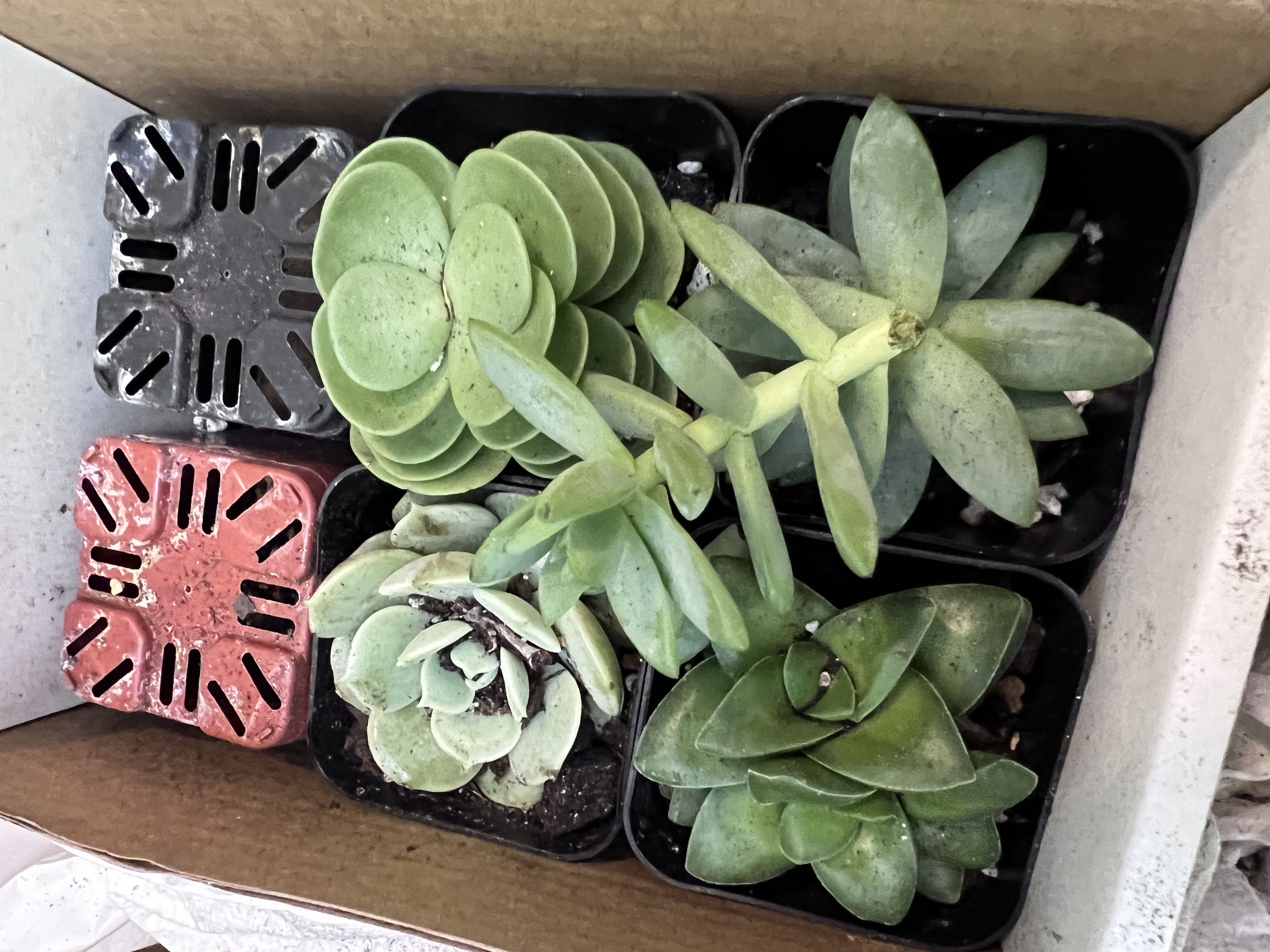Photo from the post