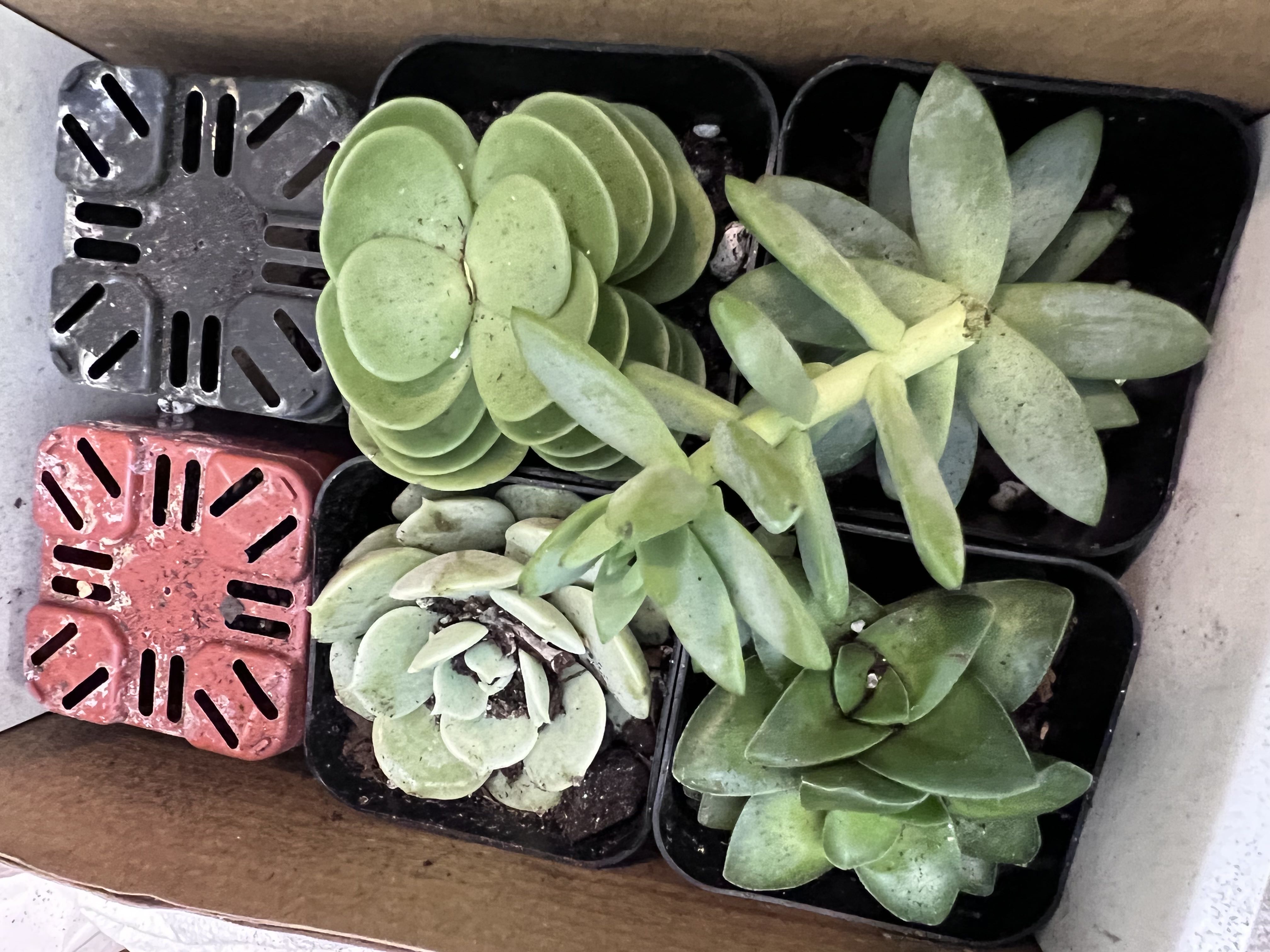Photo from the post