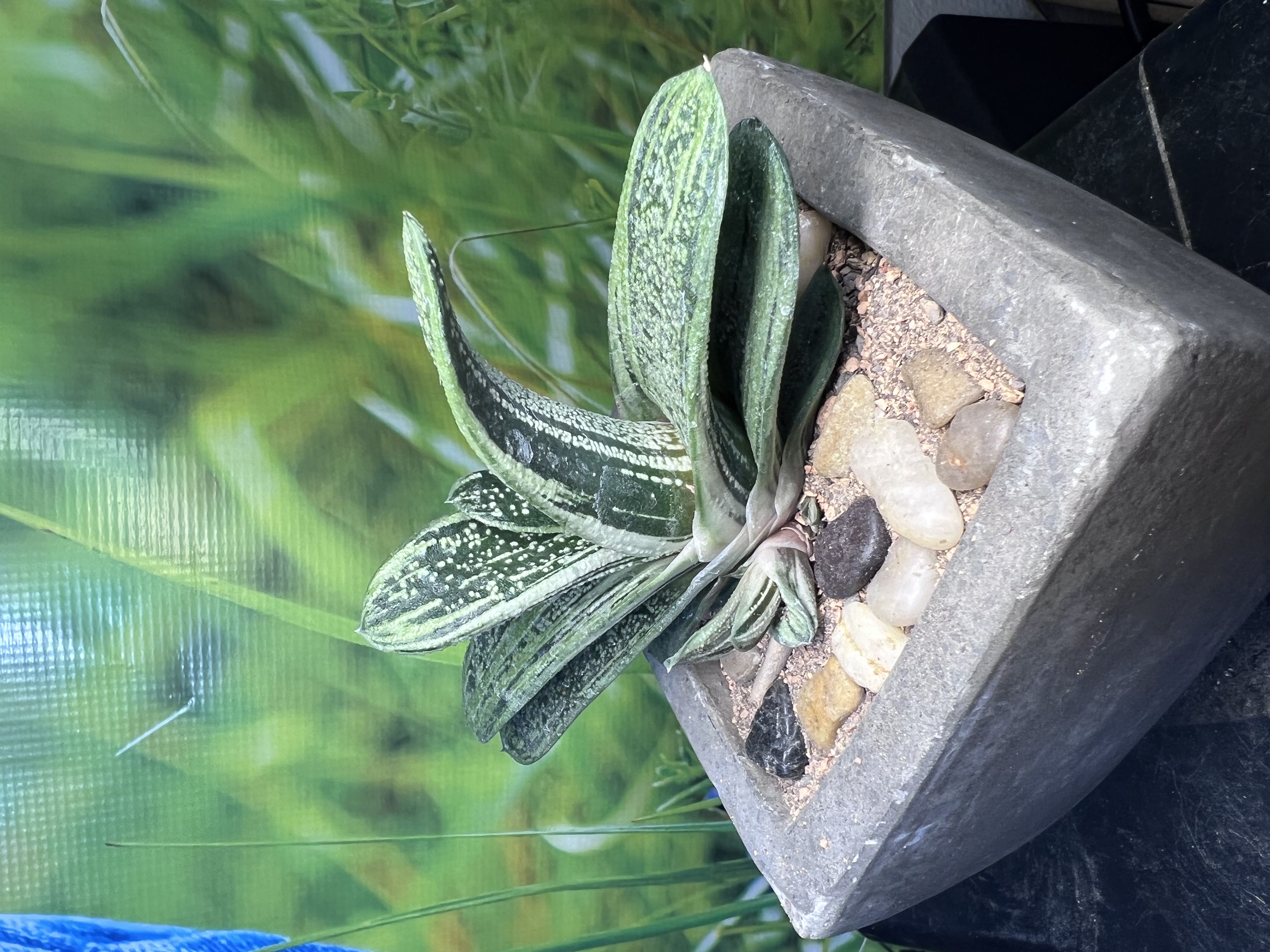 Photo from the post