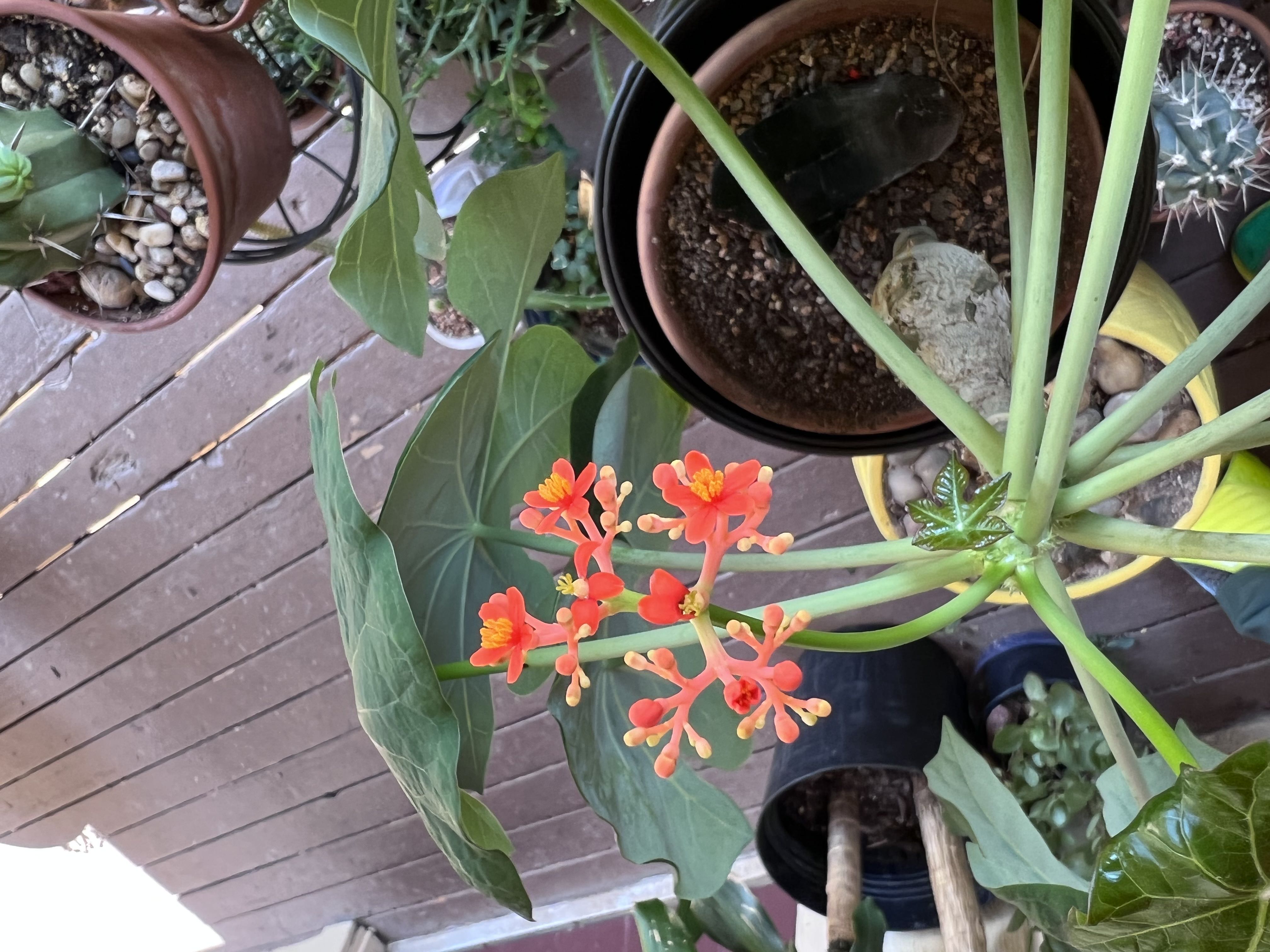 Photo from the post