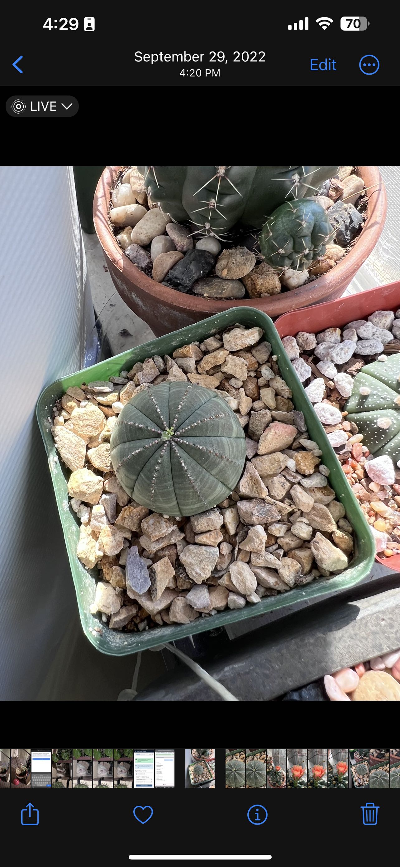 Photo from the post