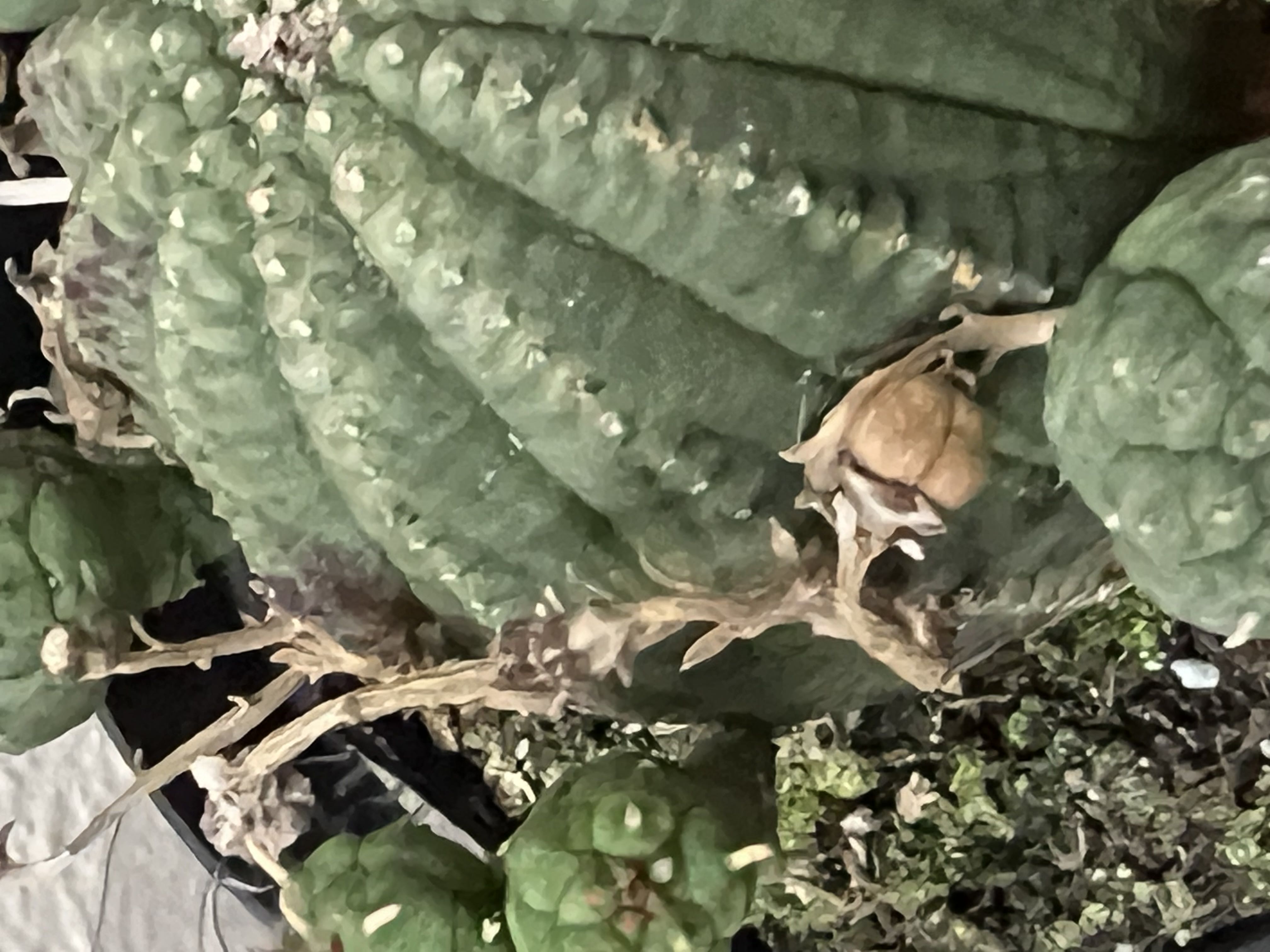 Photo from the post