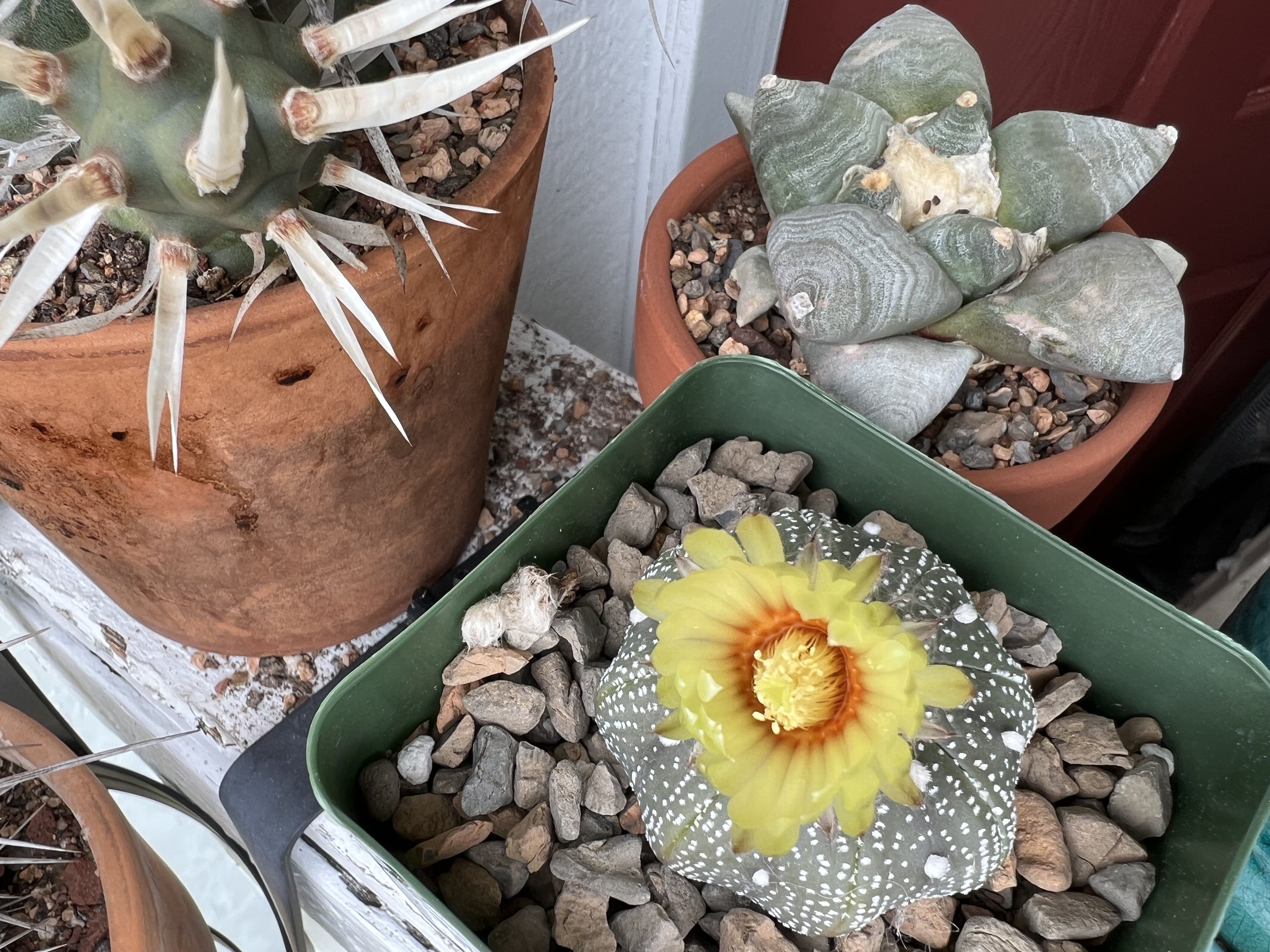 Photo from the post