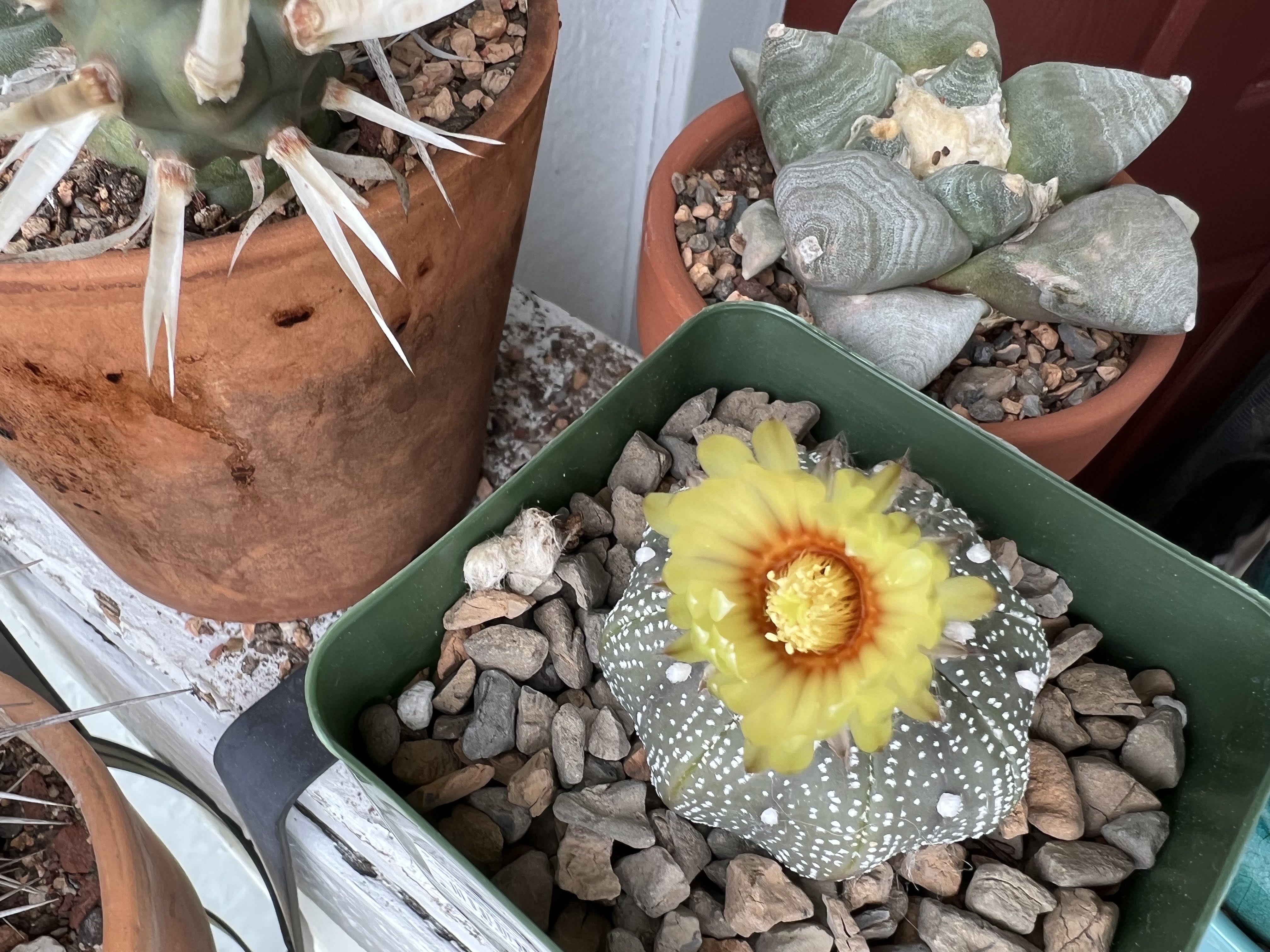 Photo from the post