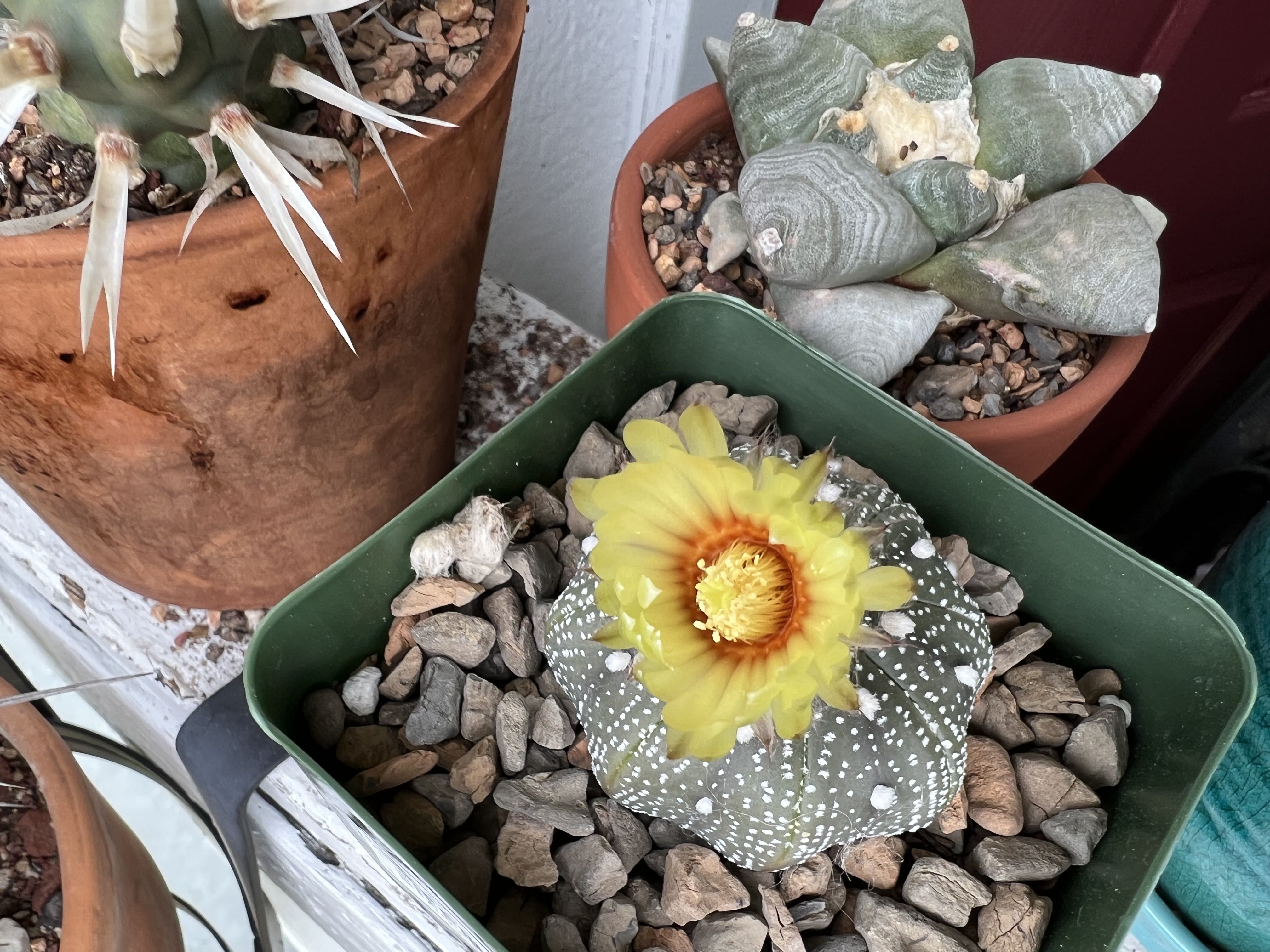 Photo from the post