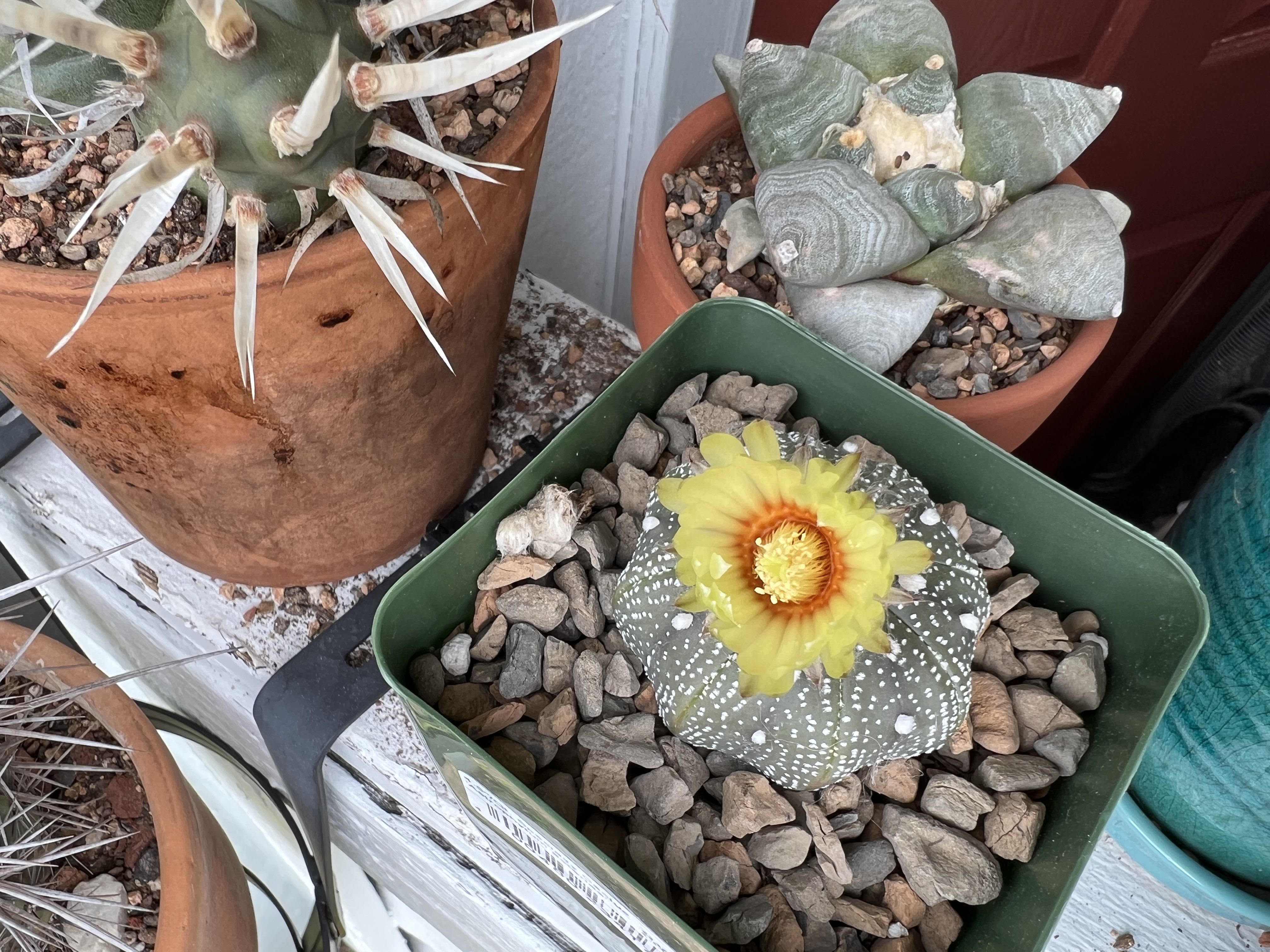 Photo from the post