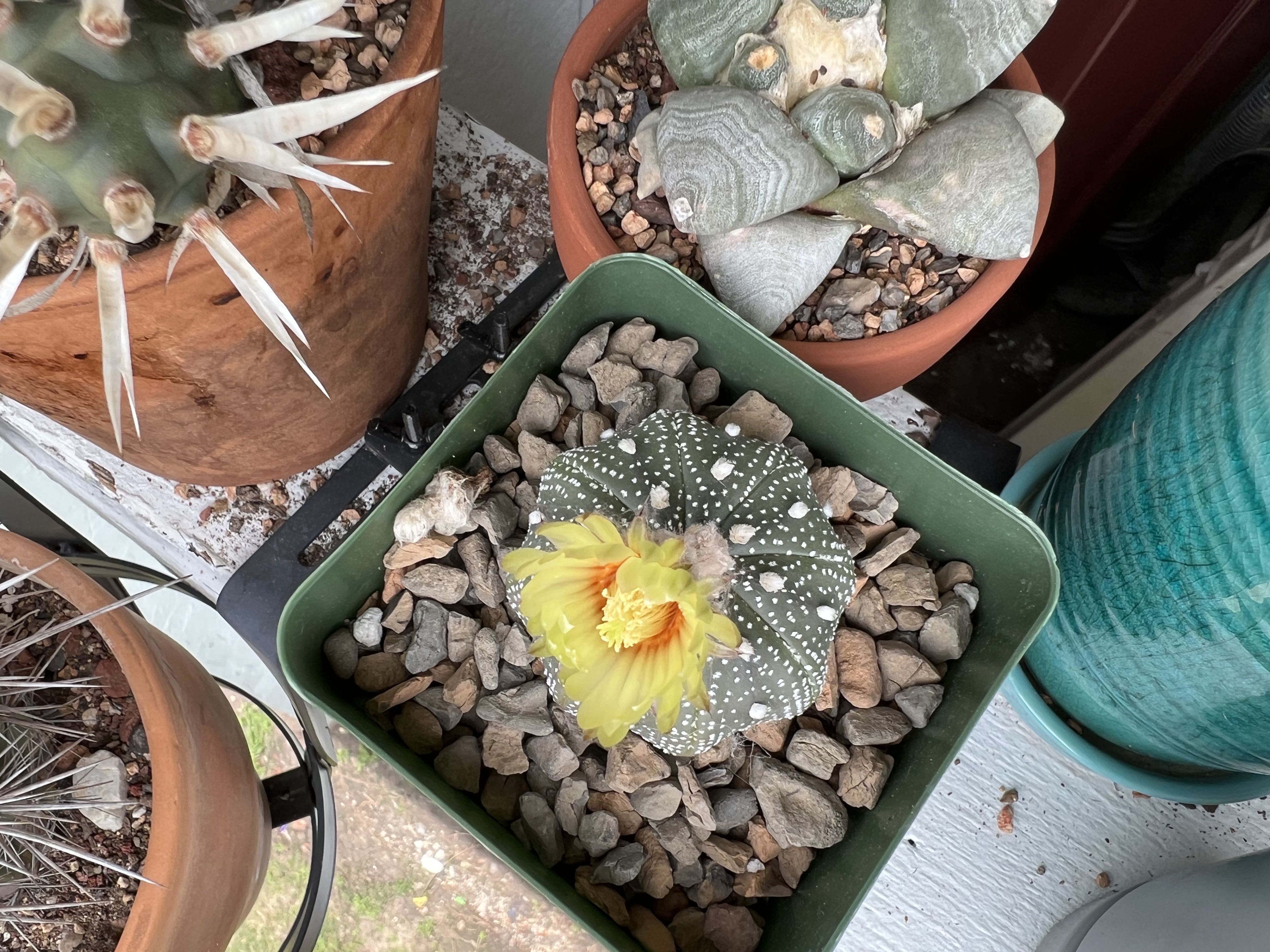 Photo from the post