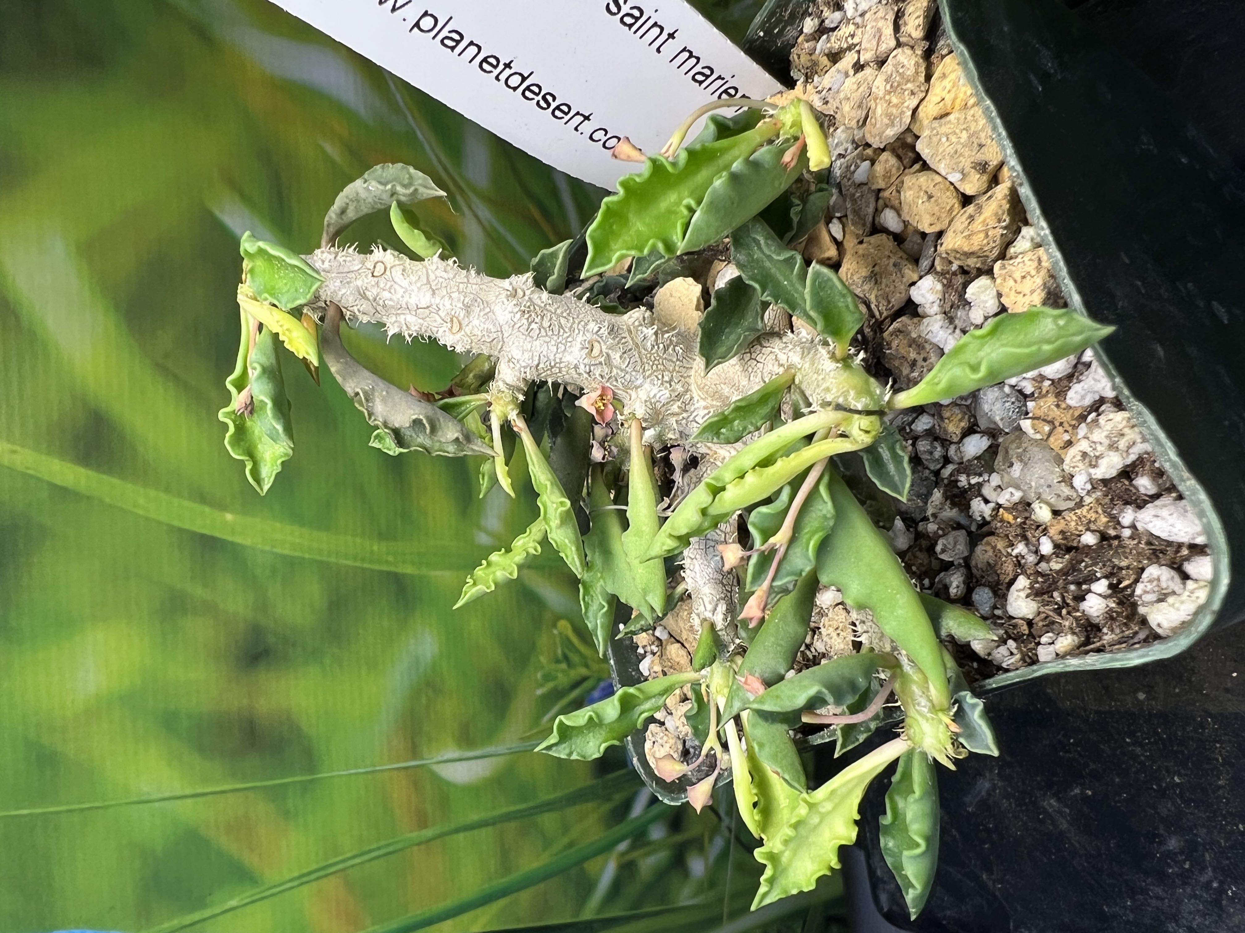 Photo from the post