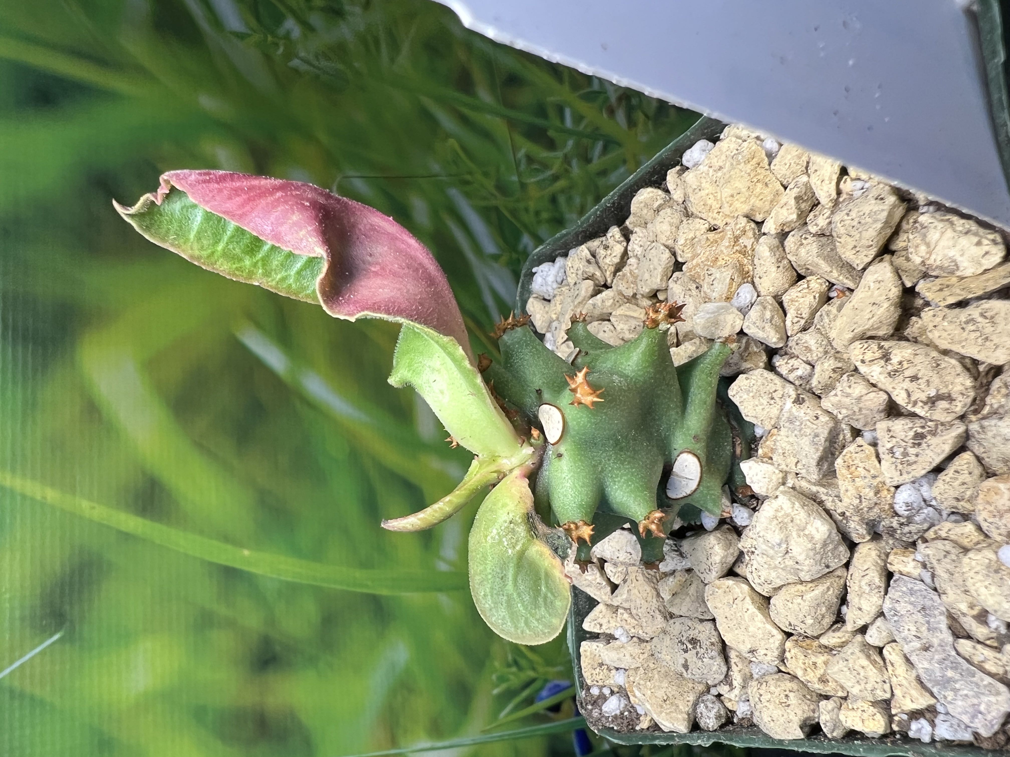 Photo from the post
