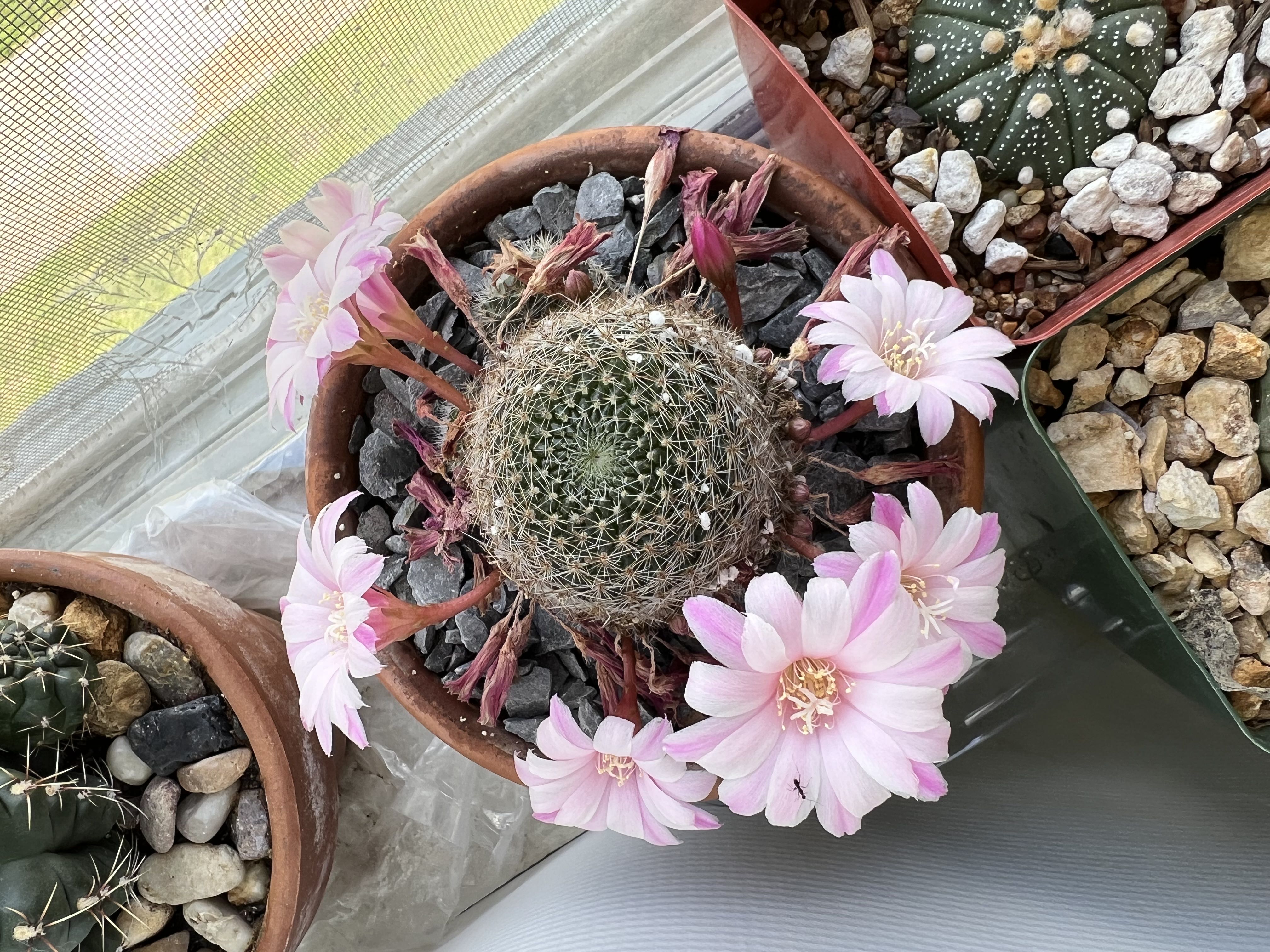 Photo from the post