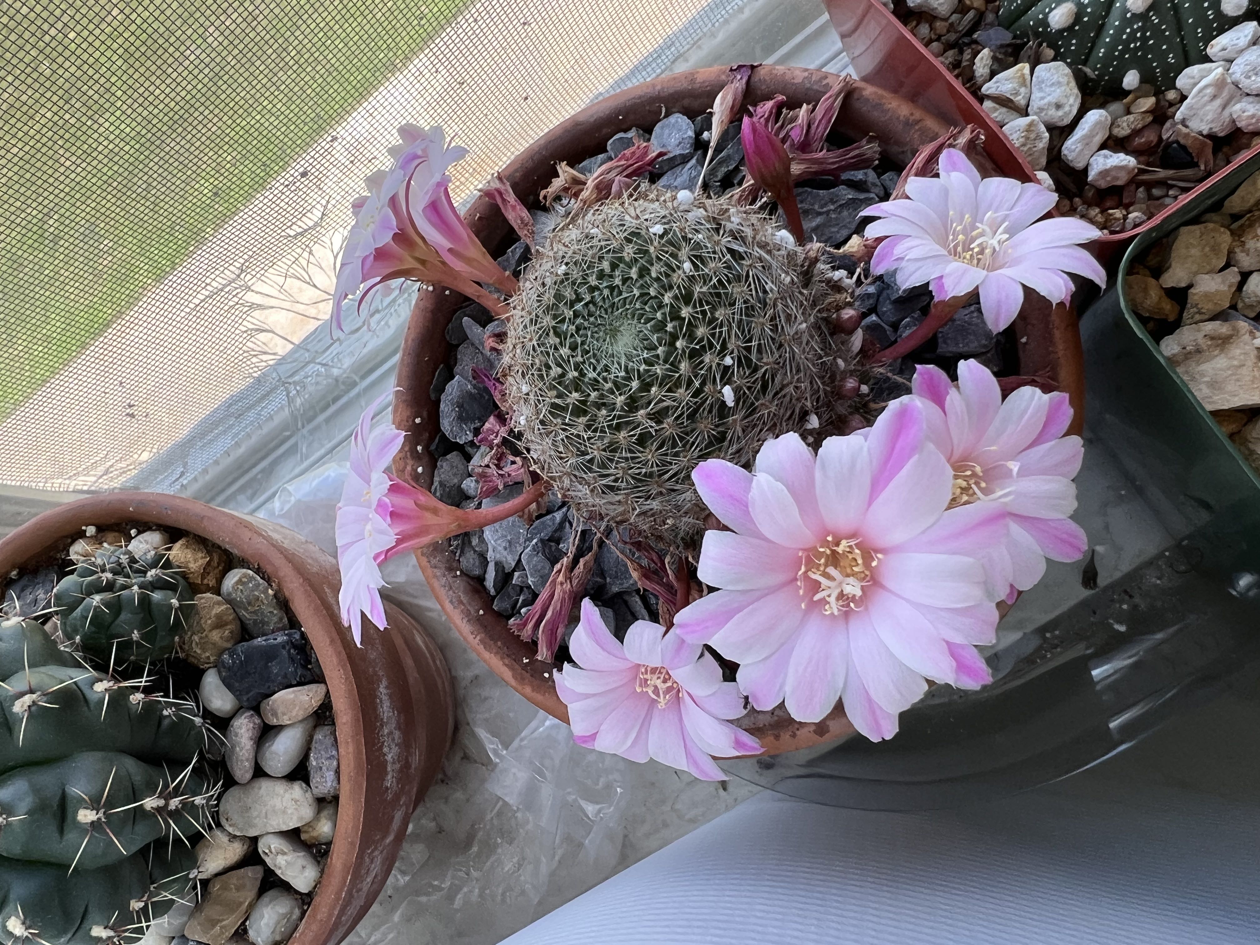 Photo from the post