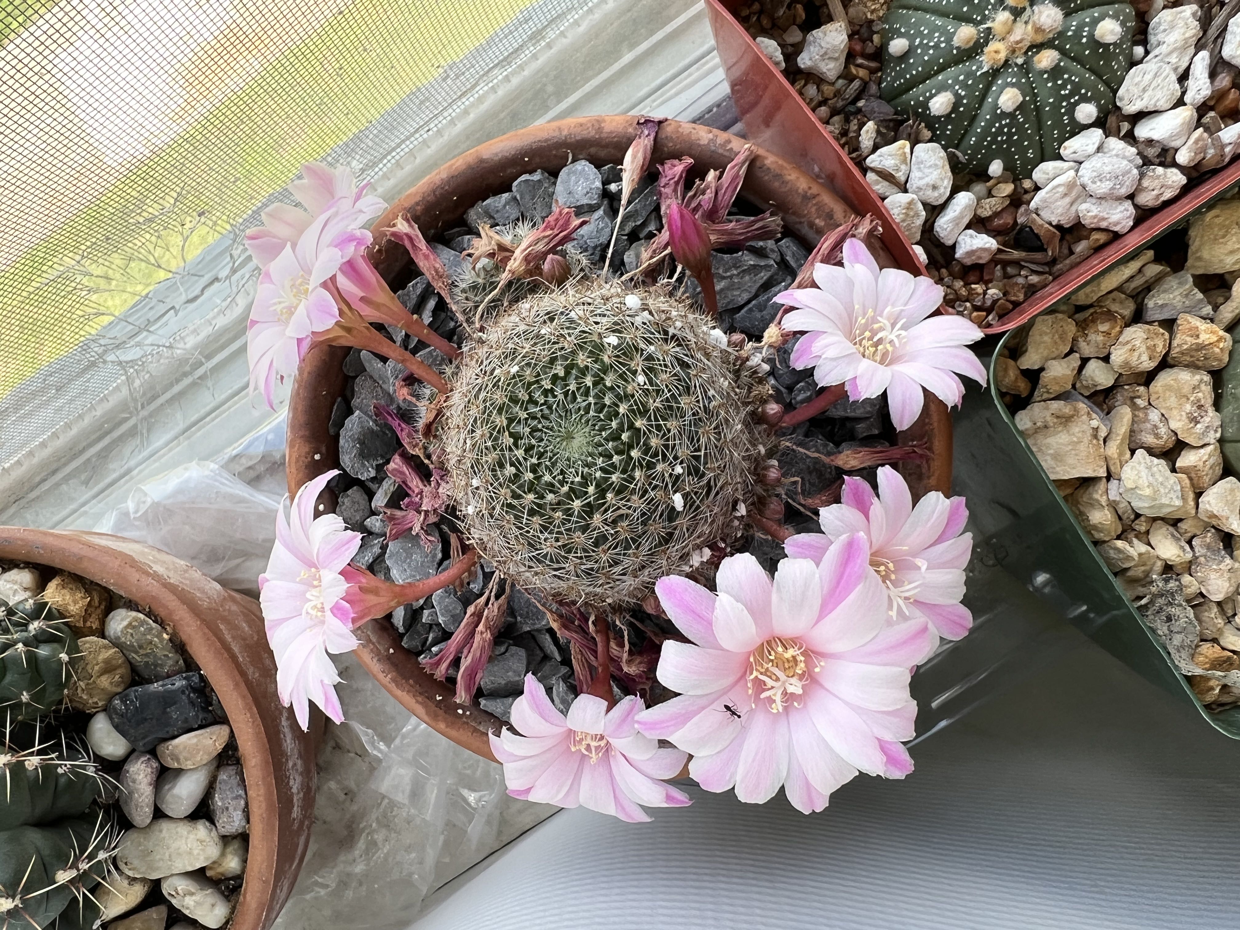 Photo from the post