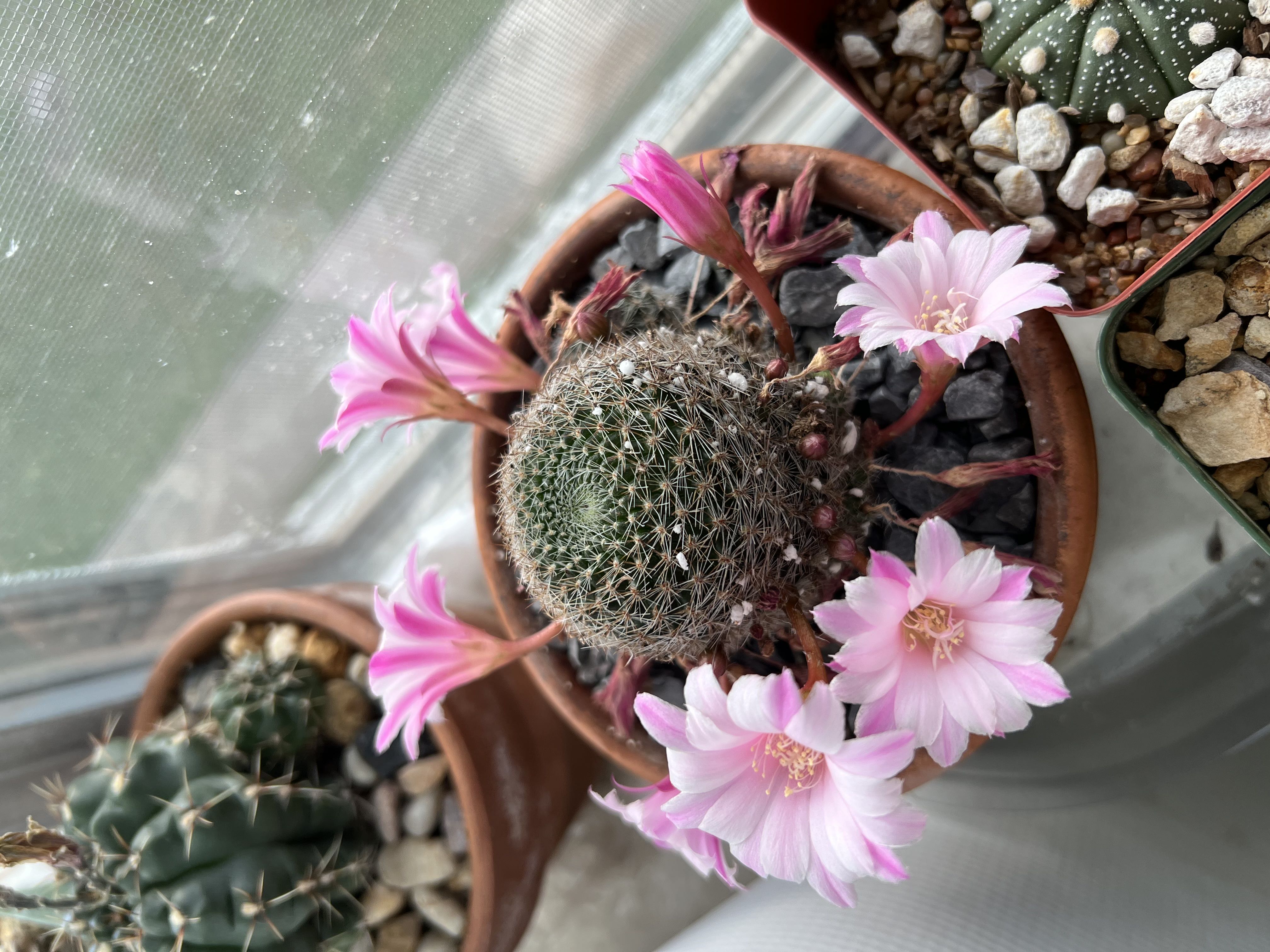 Photo from the post