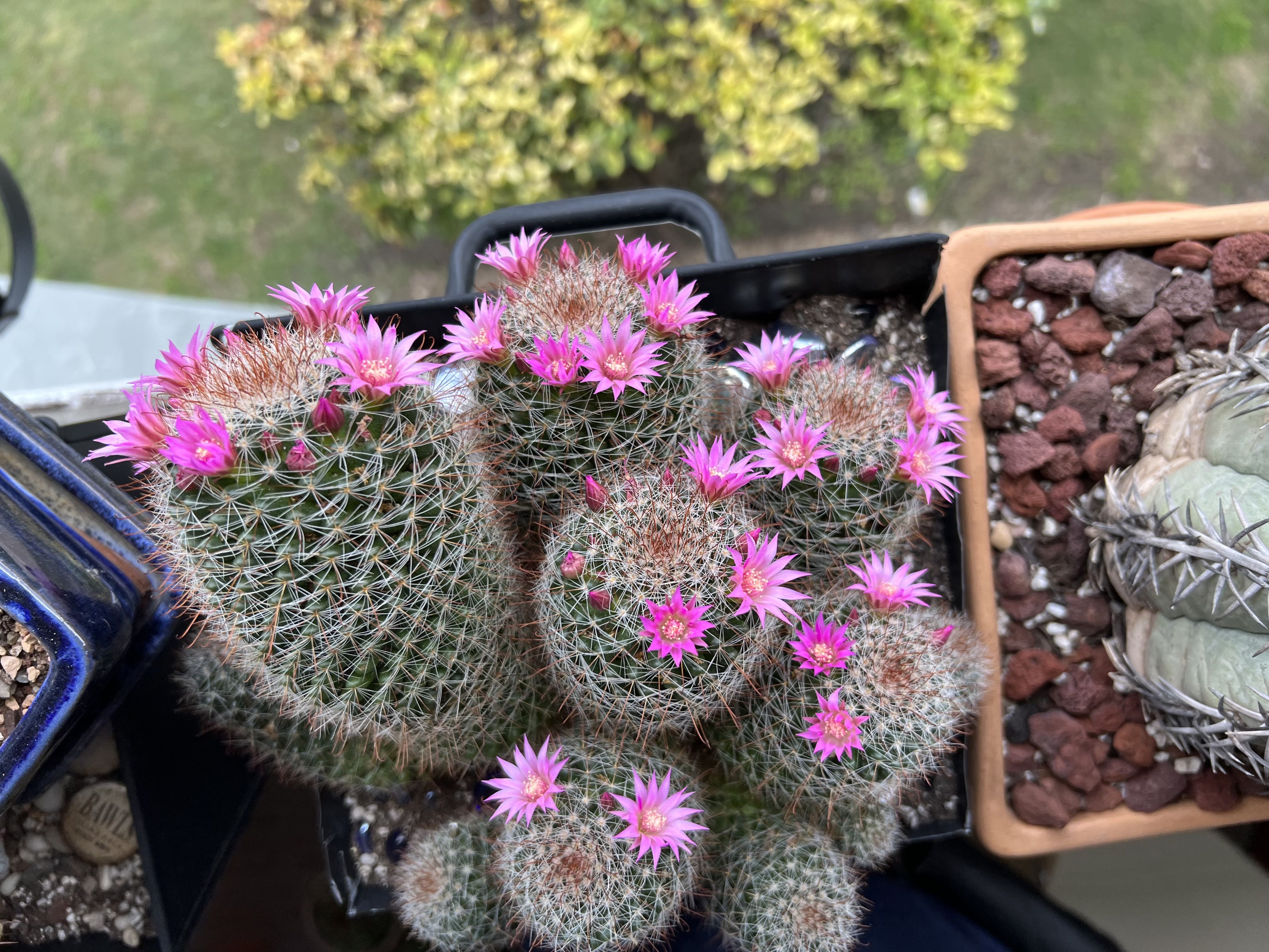 Photo from the post