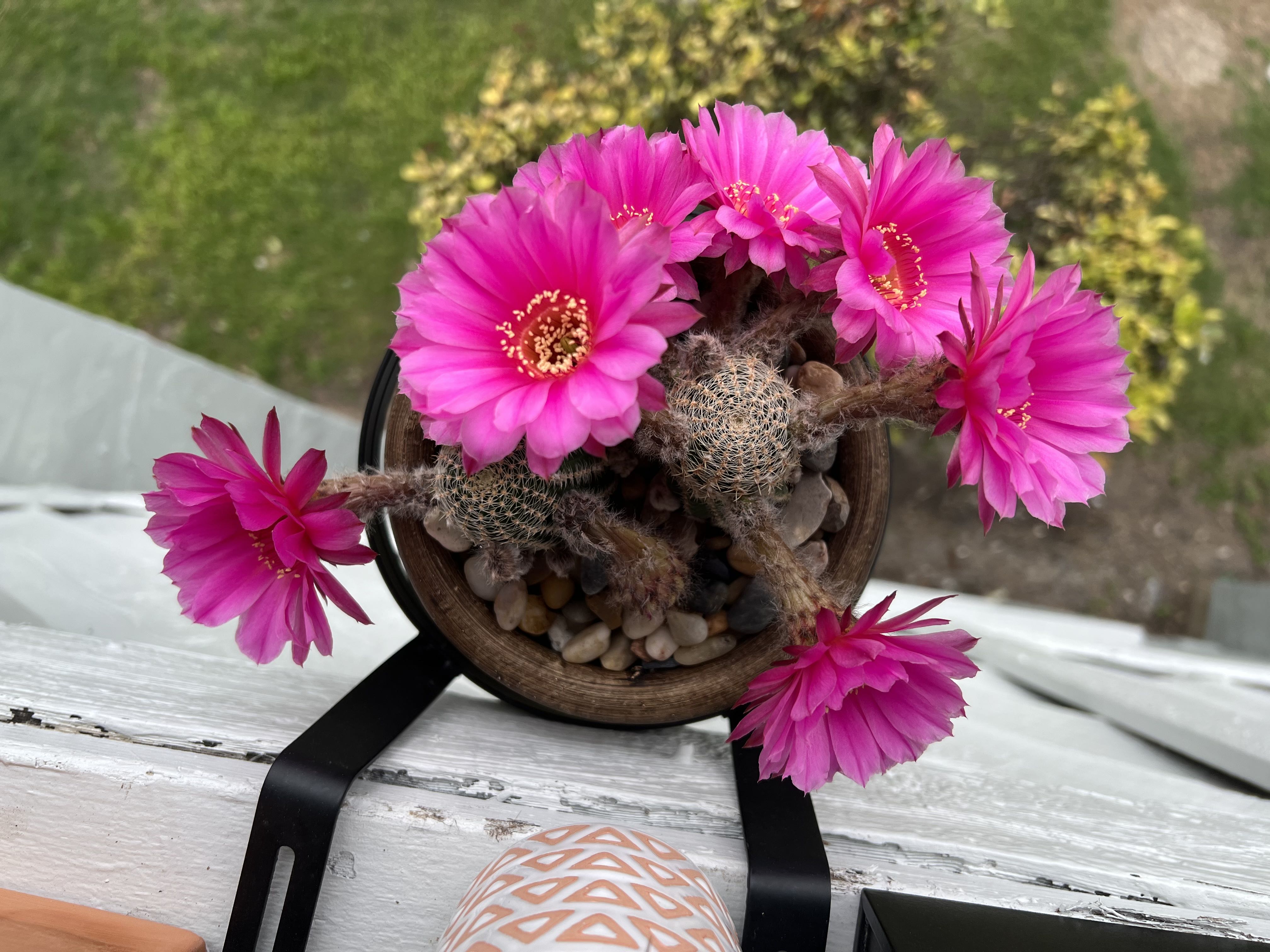 Photo from the post