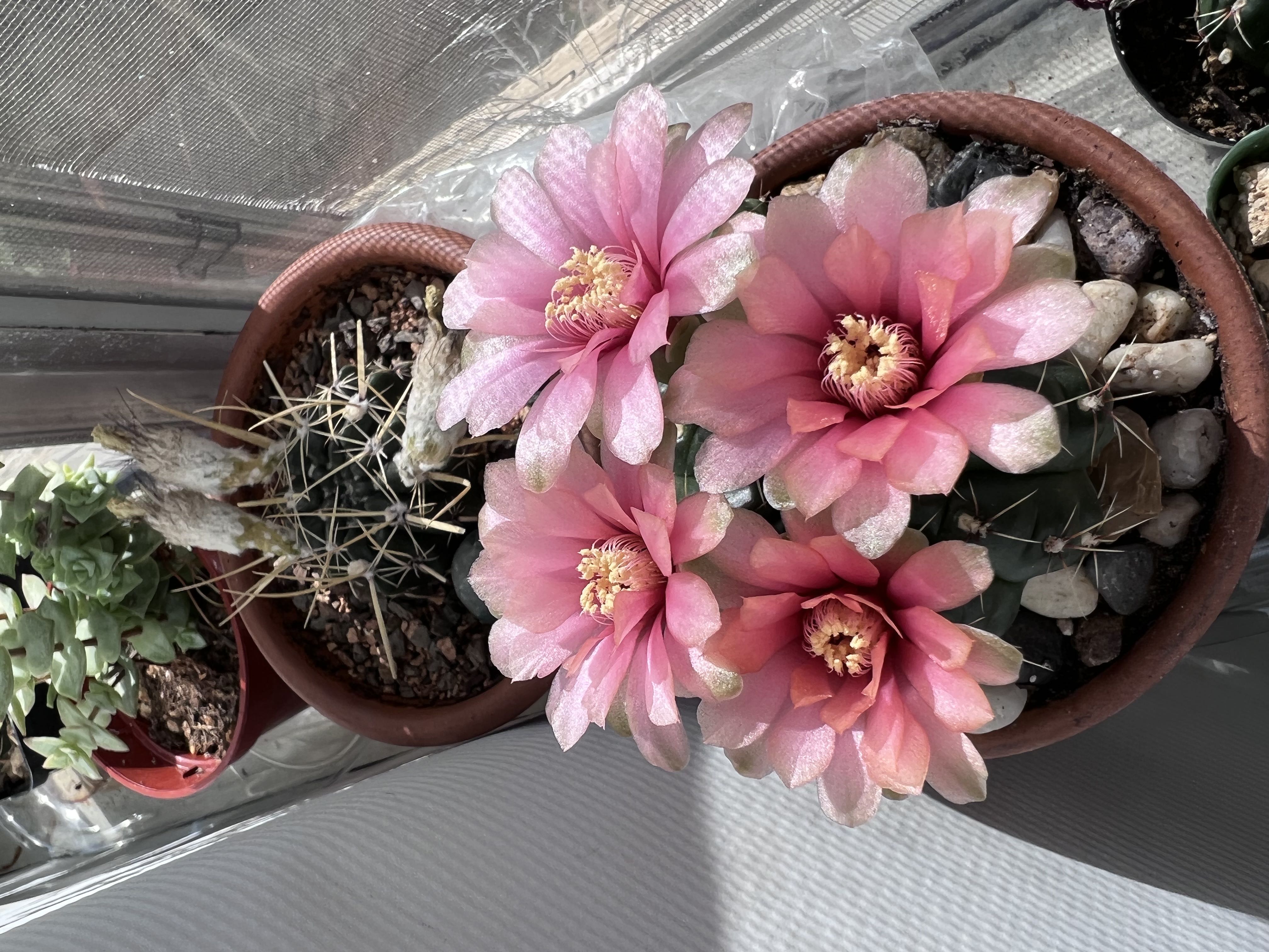 Photo from the post