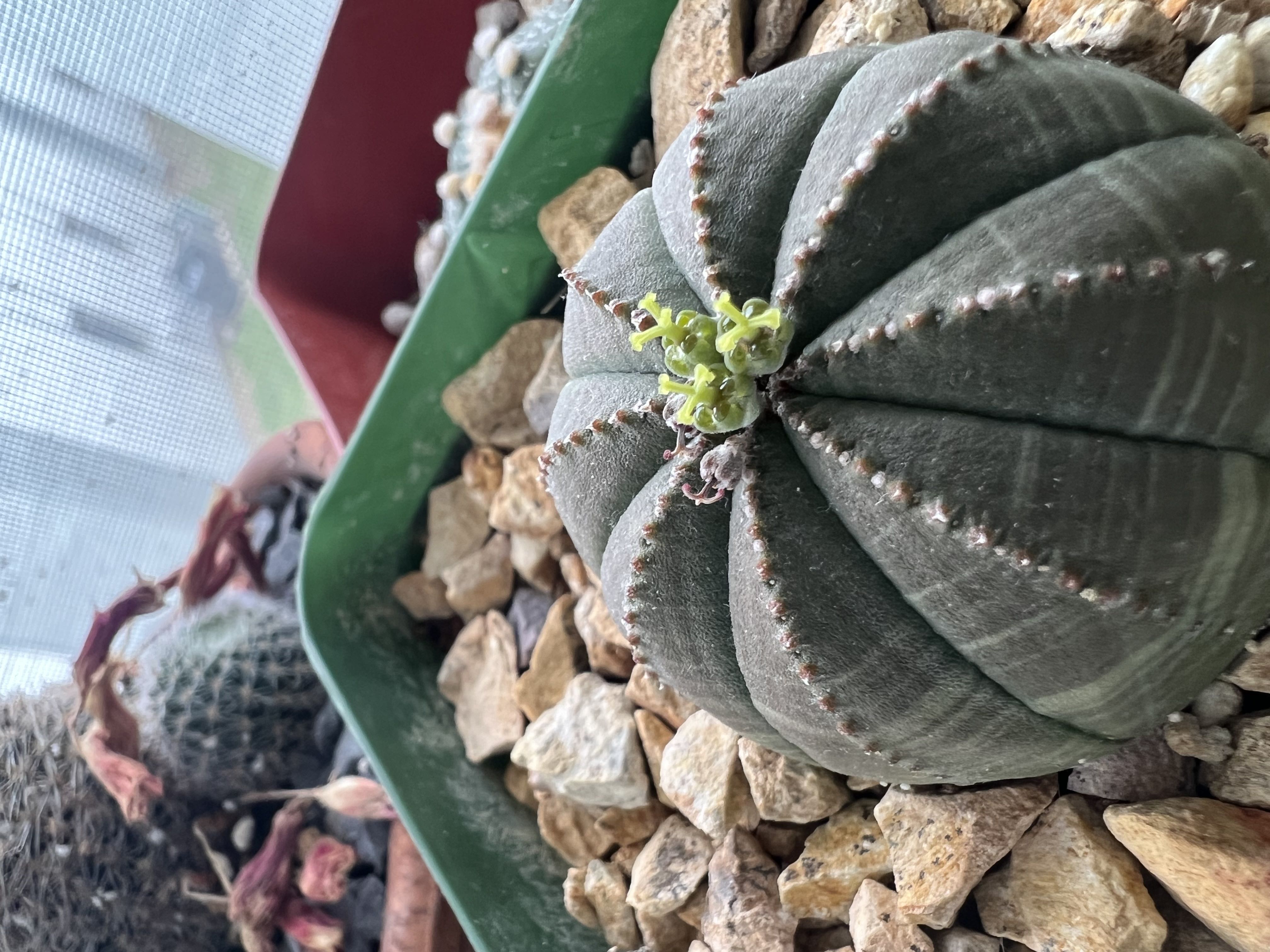 Photo from the post