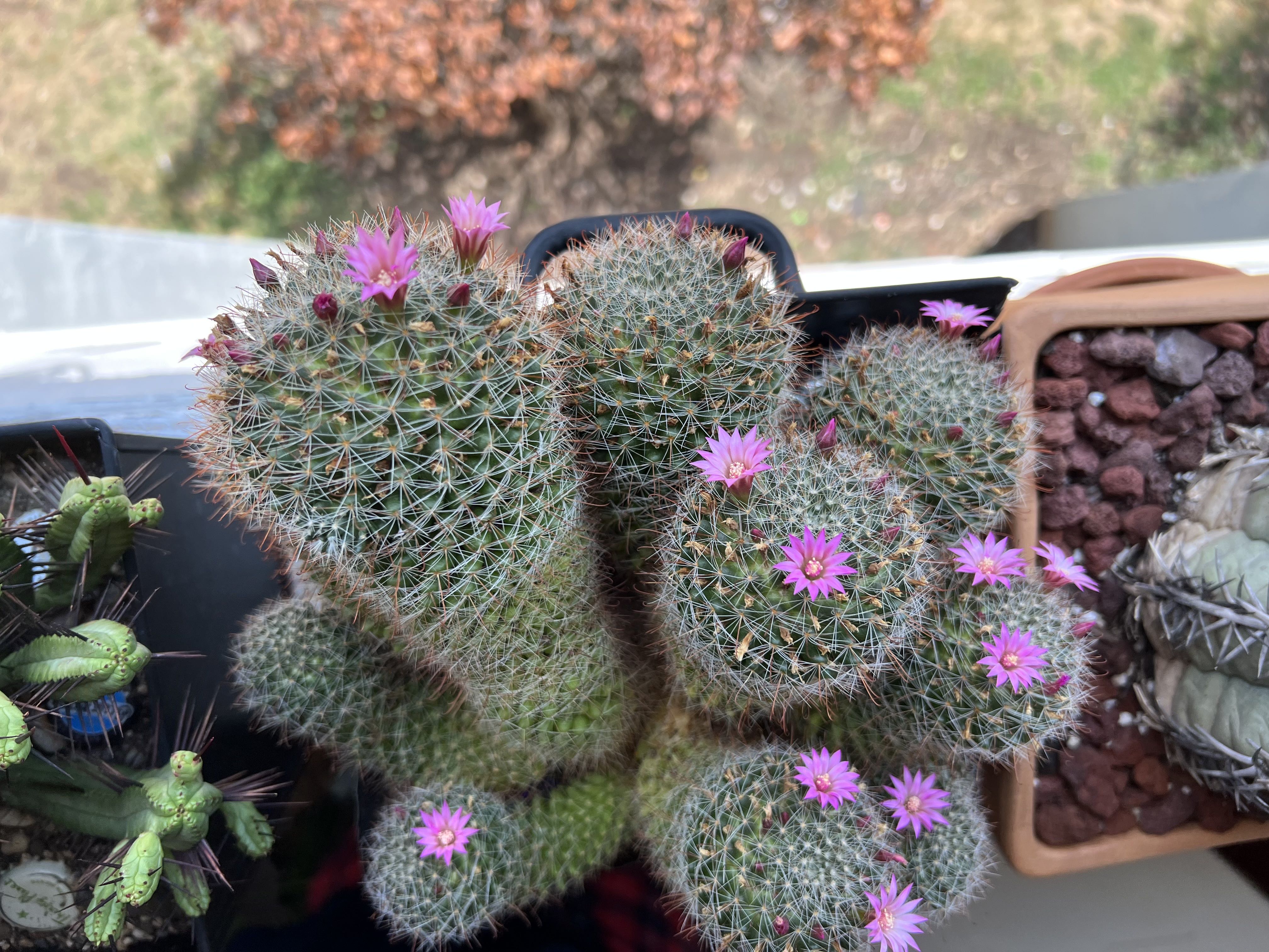 Photo from the post