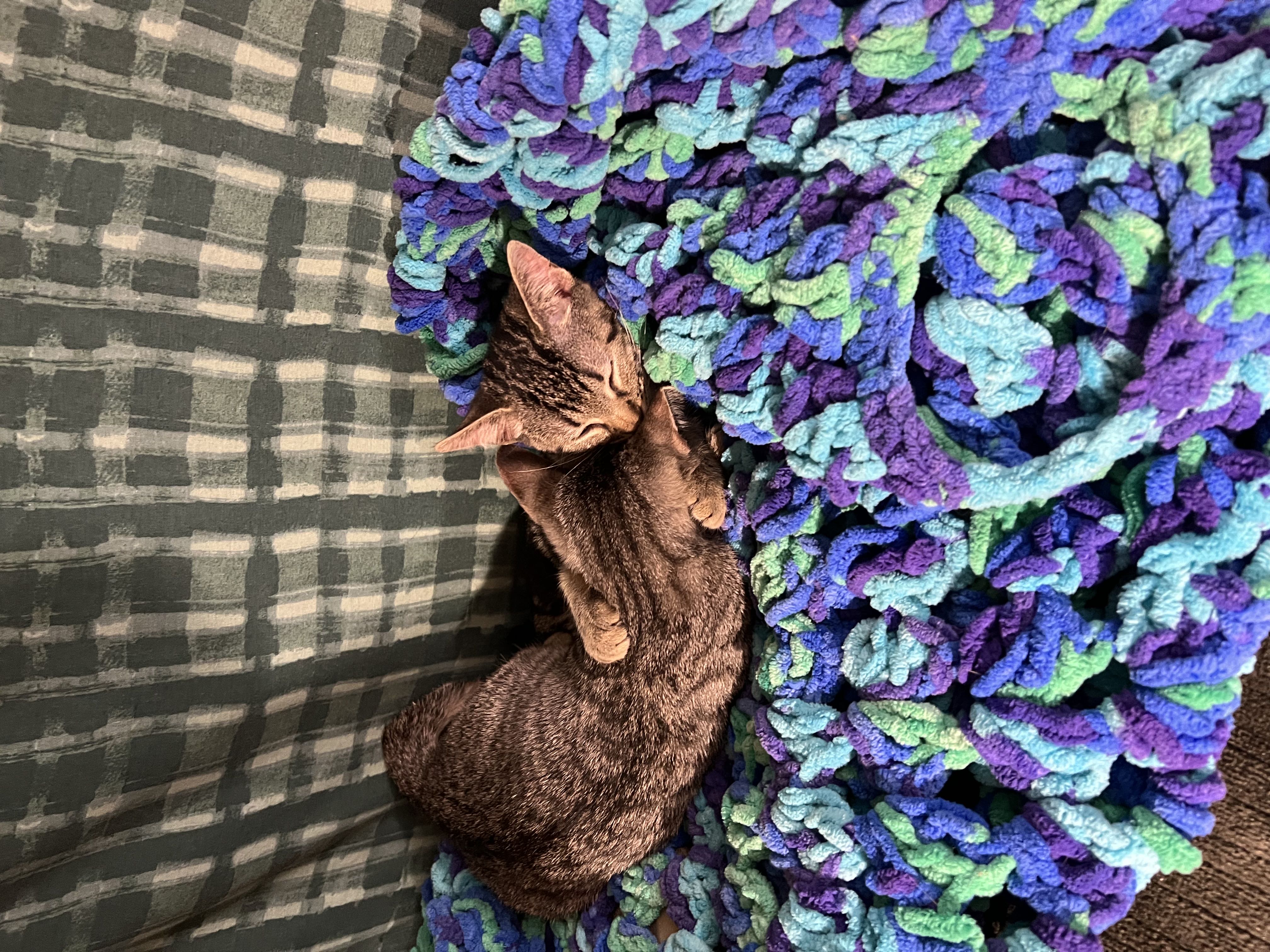Photo from the post
