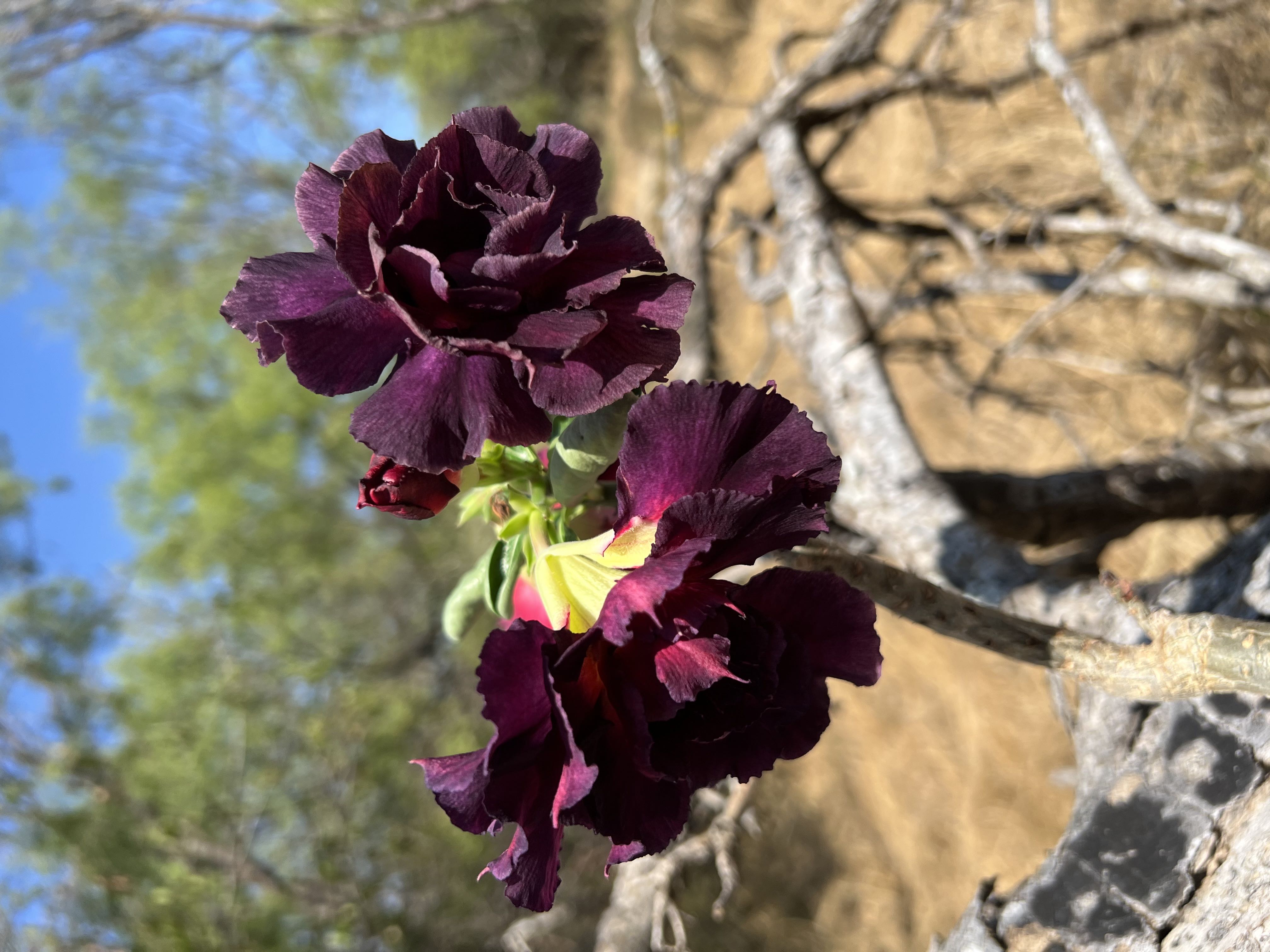 Photo from the post