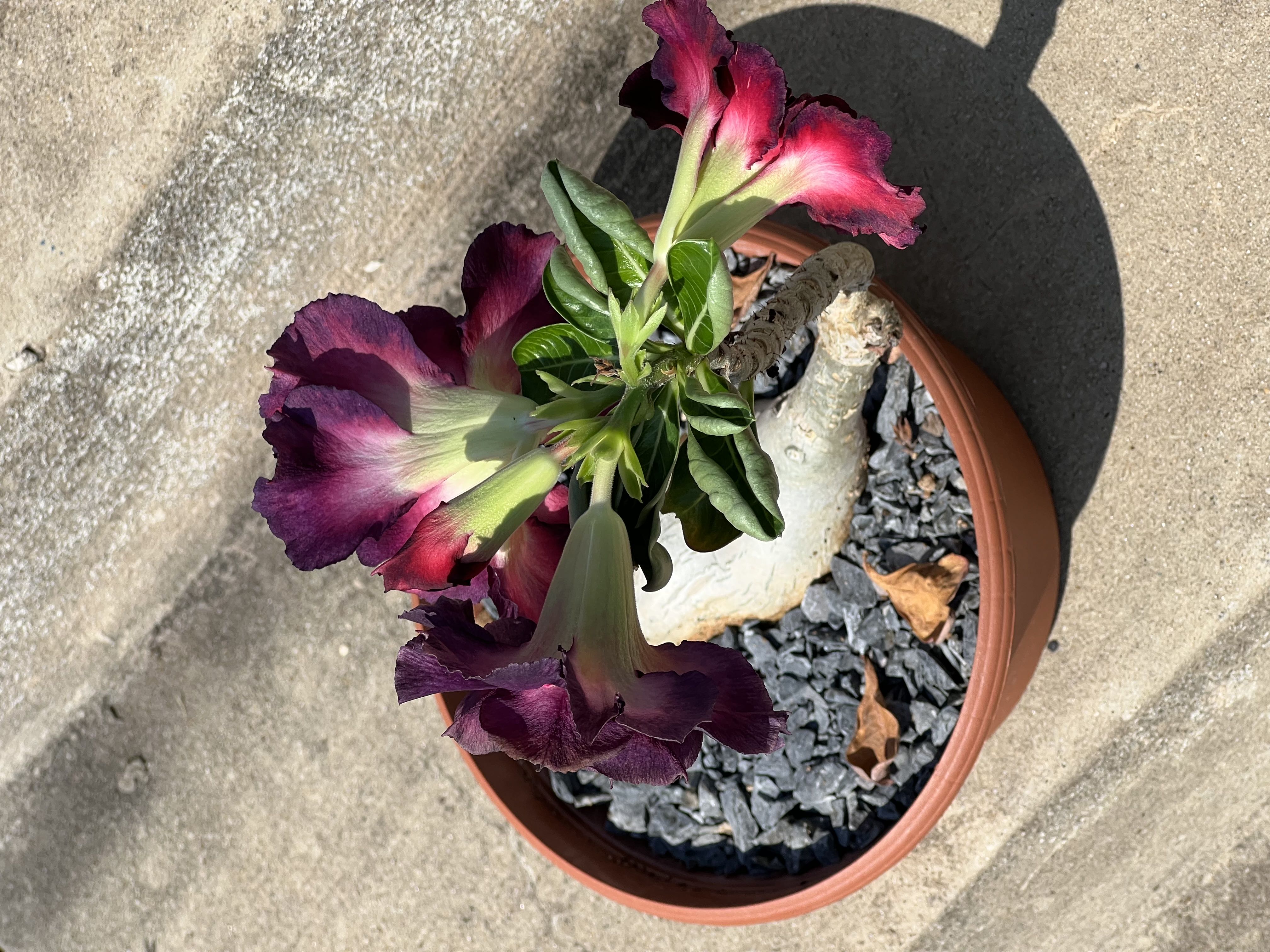 Photo from the post