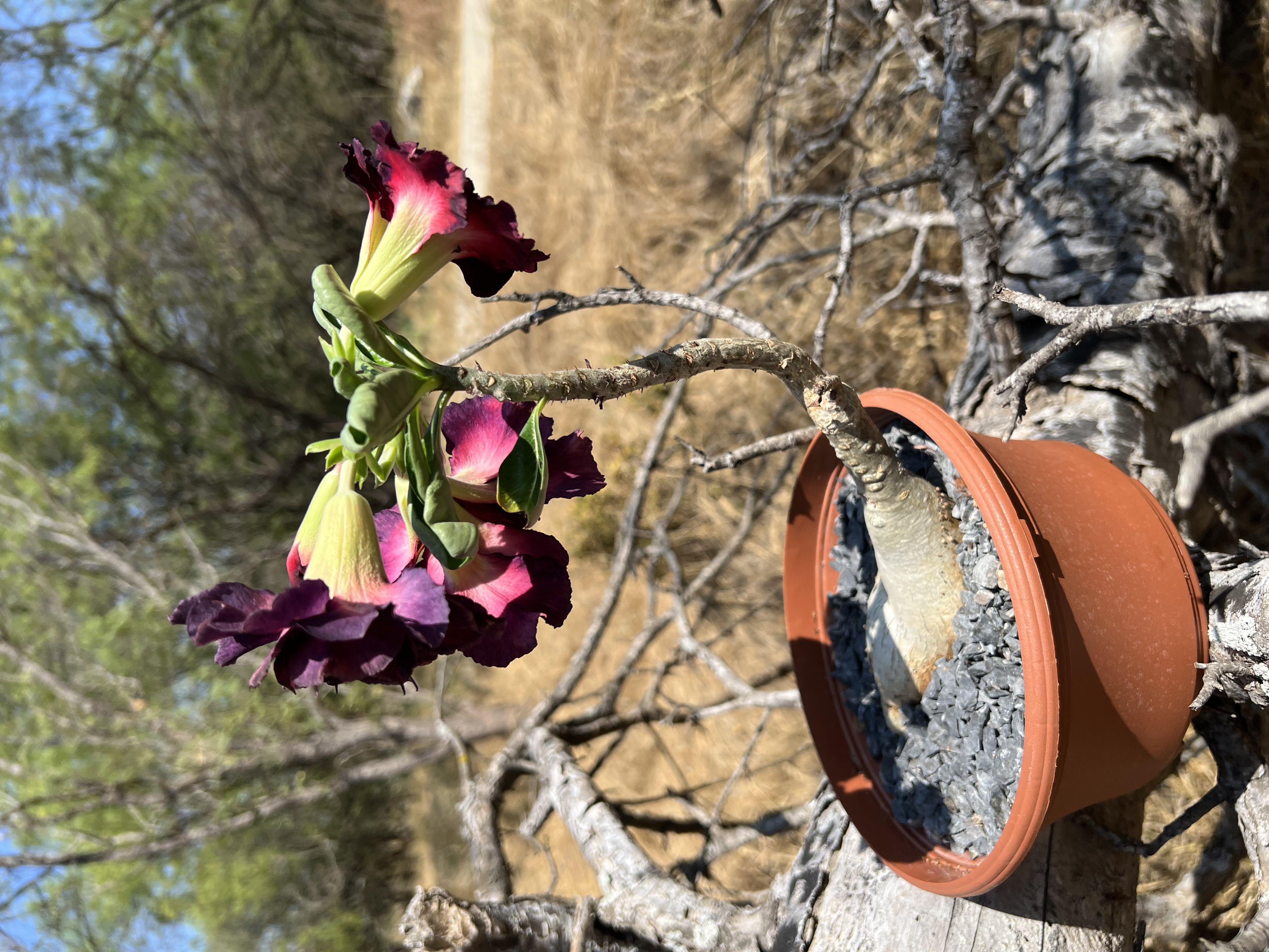 Photo from the post